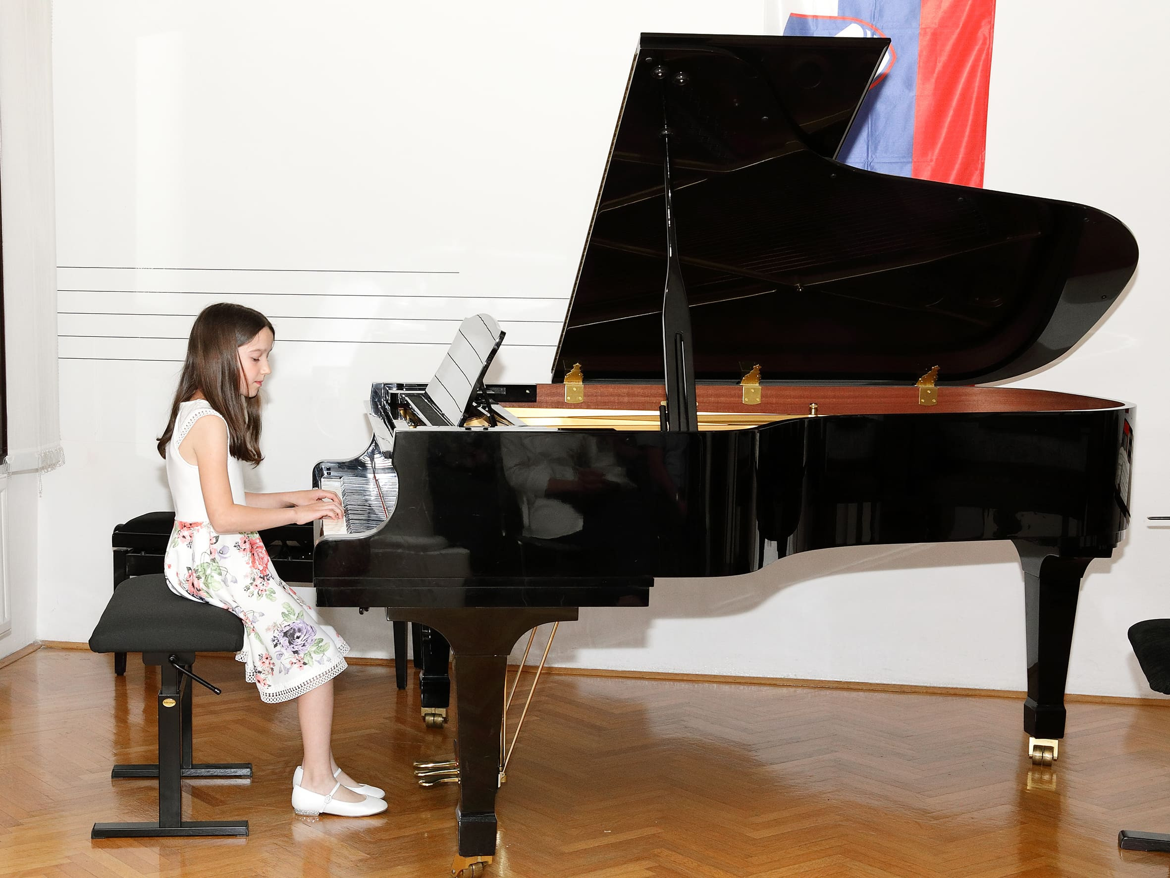 Koncert ob 20 letnici sodelovanja prijateljskih šol GŠ Brežice in ZUŠ Dobřany