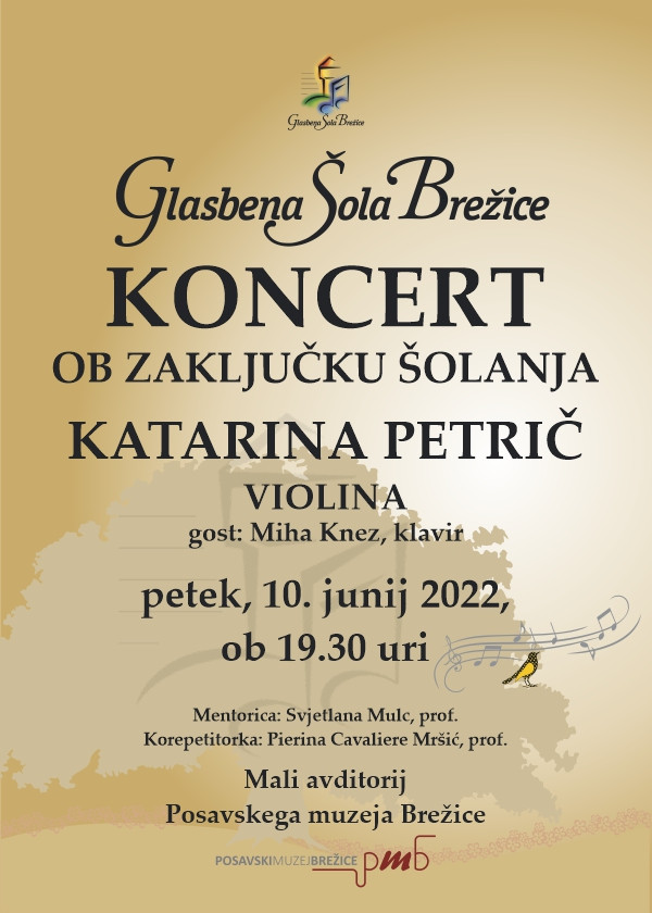 Koncert ob zaključku šolanja