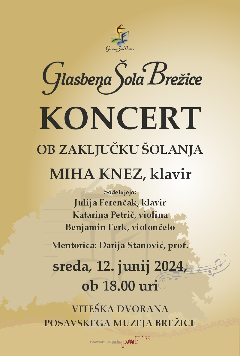 Koncert ob zaključku šolanja Miha Knez