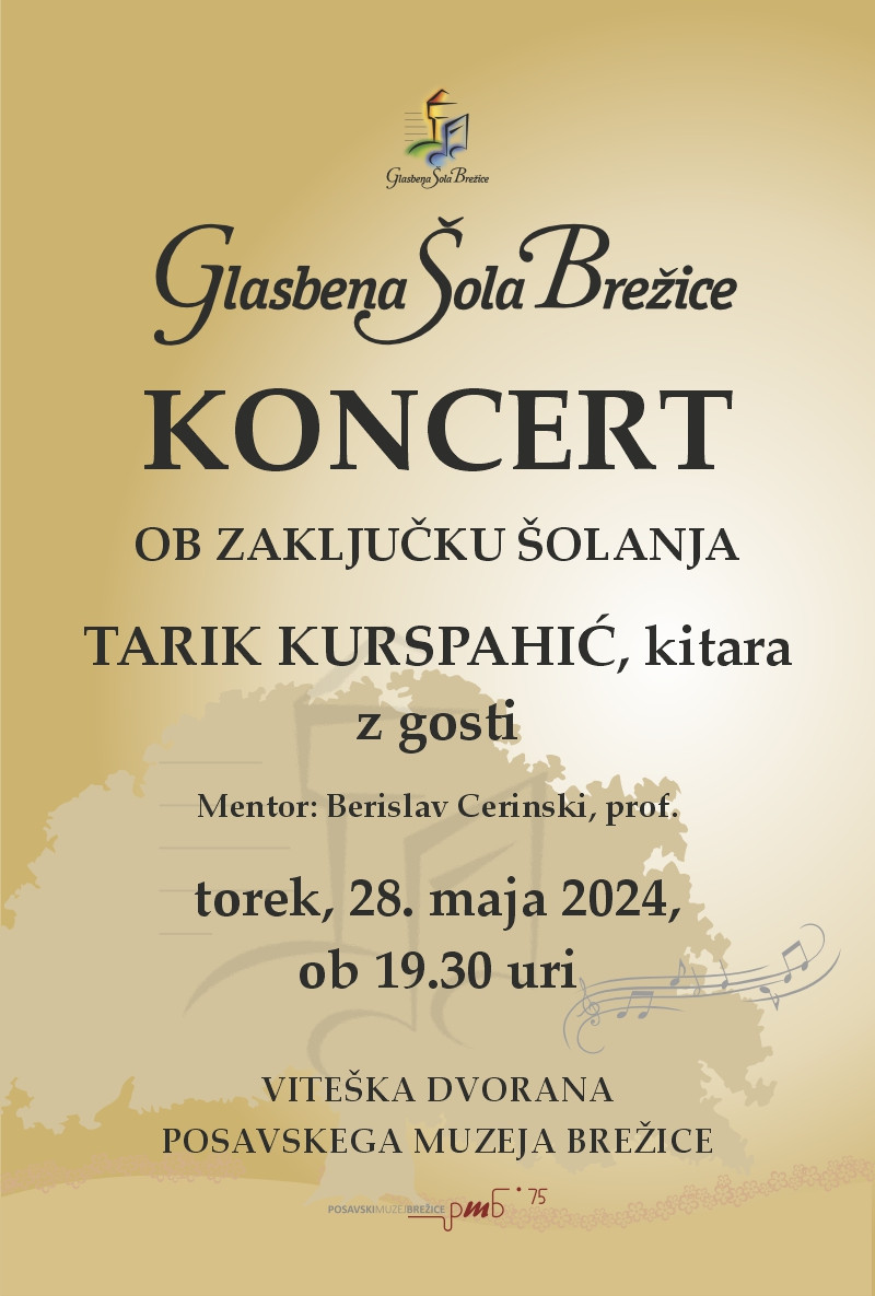 Koncert ob zaključku šolanja Tarik Kurspahić