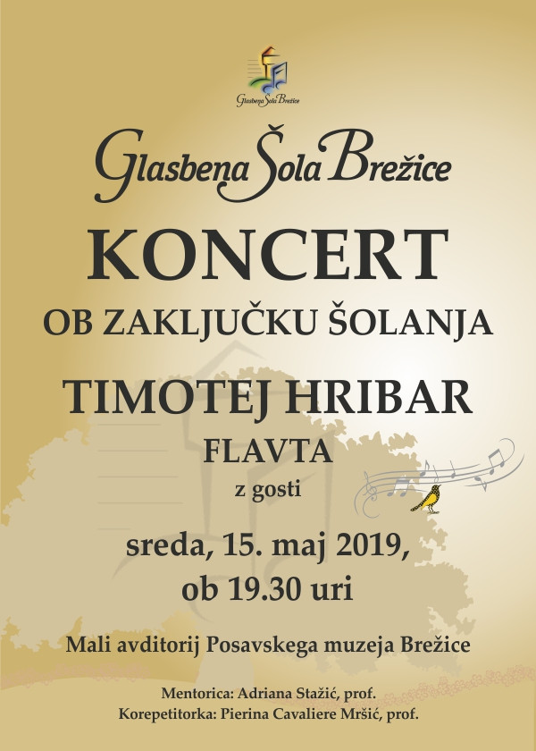 Koncert ob zaključku šolanja - Timotej Hribar