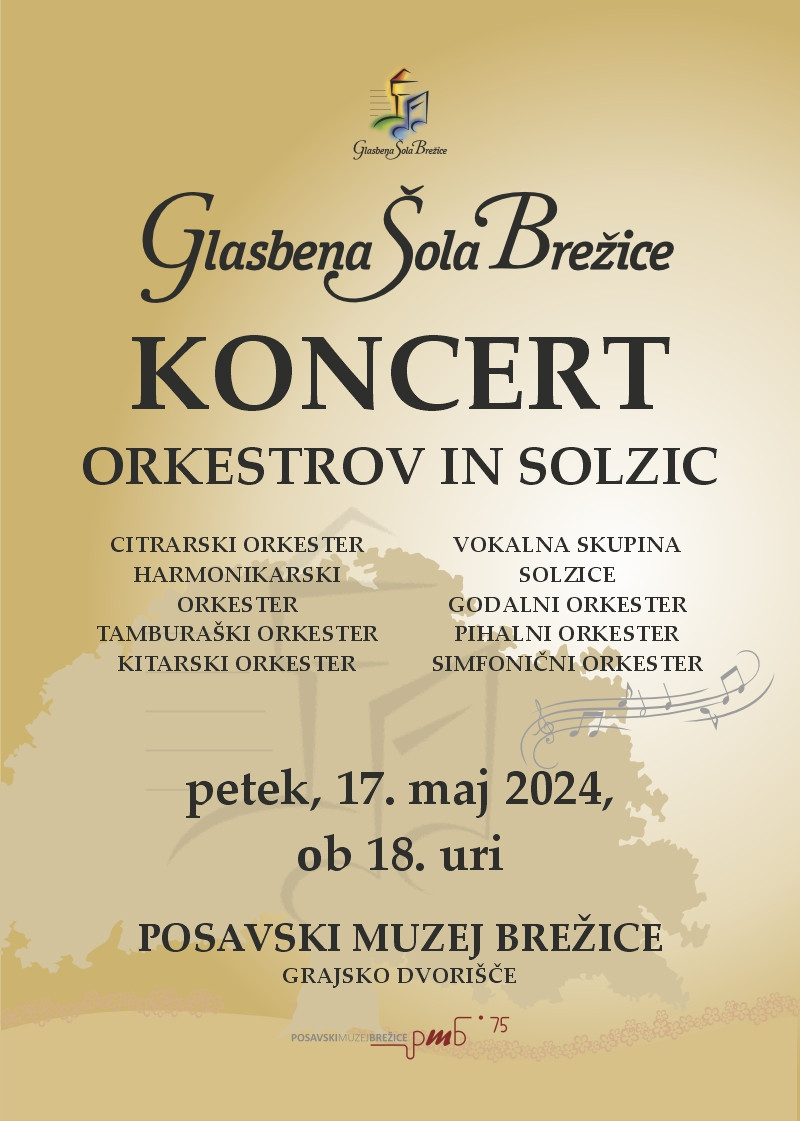 Koncert orkestrov in Solzic