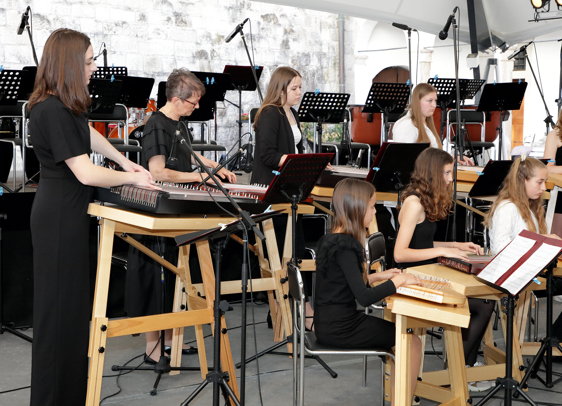 Koncert orkestrov in Solzic