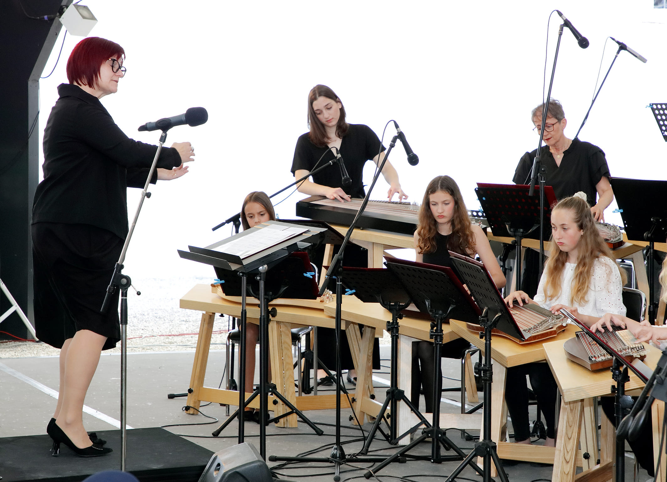 Koncert orkestrov in Solzic