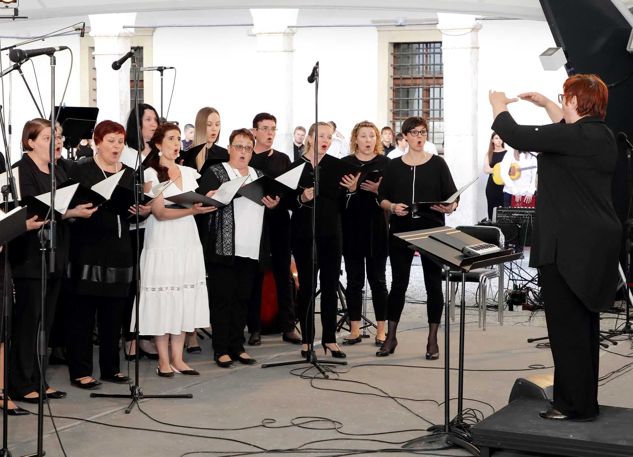 Koncert orkestrov in Solzic