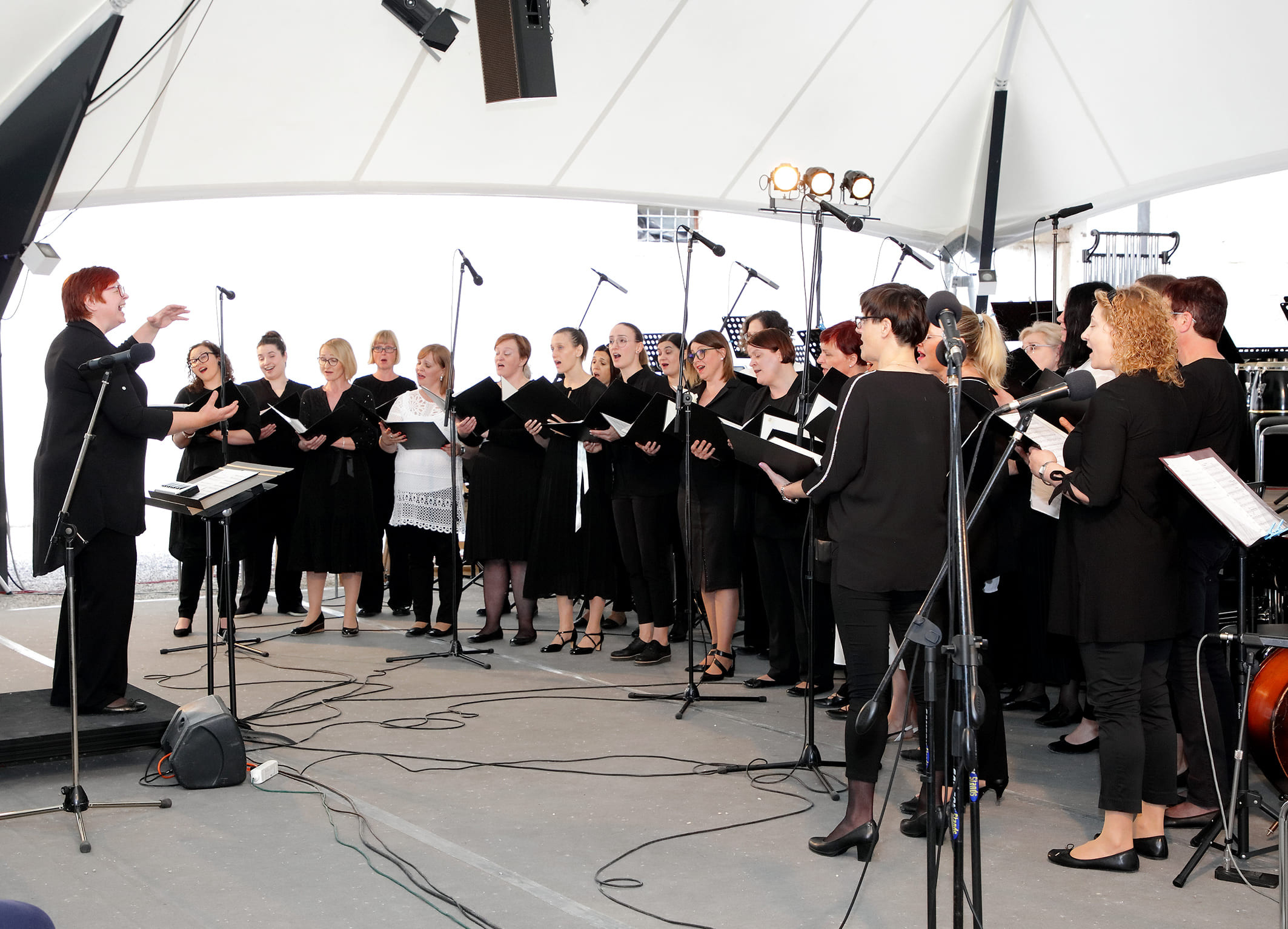 Koncert orkestrov in Solzic