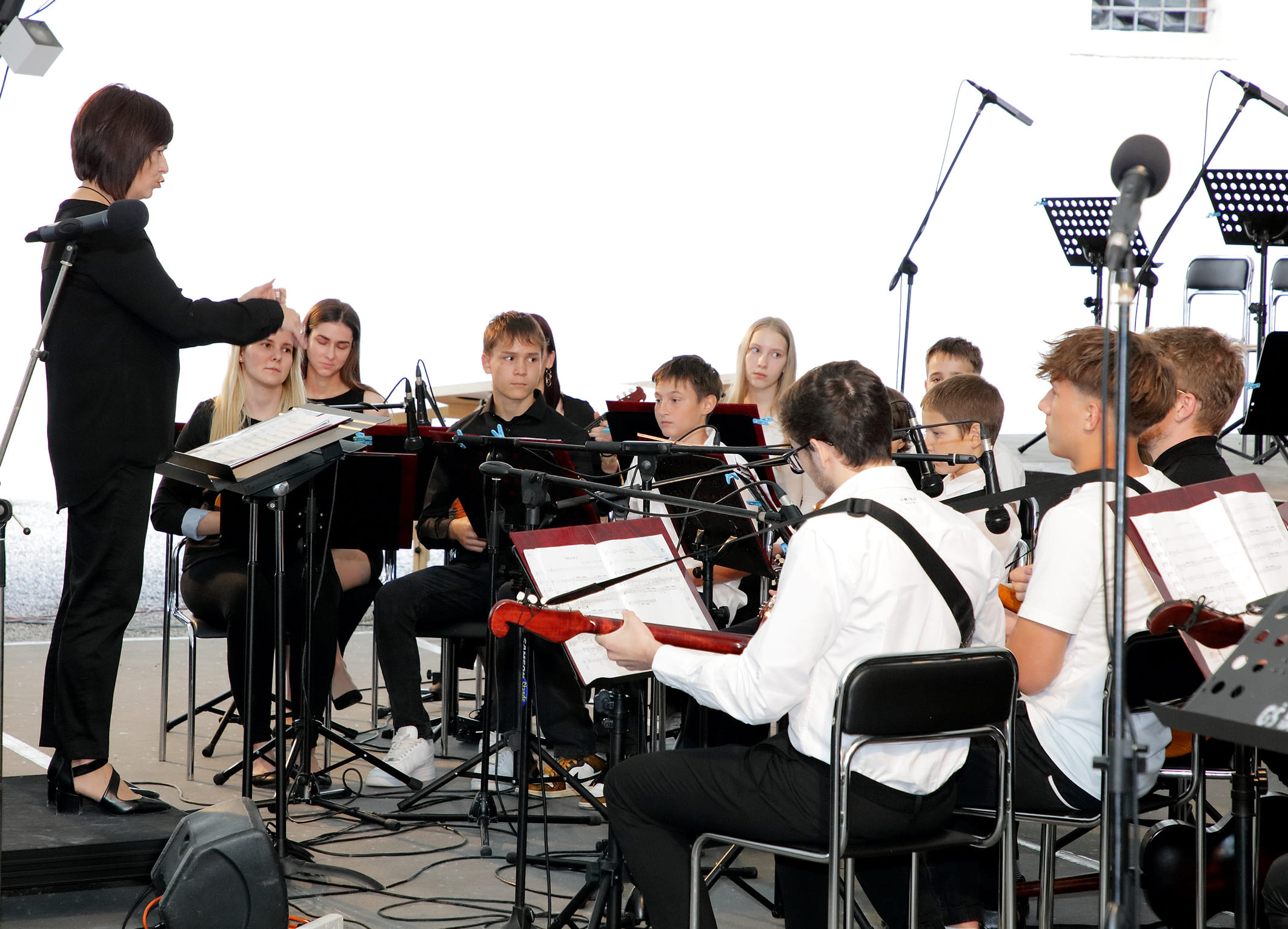 Koncert orkestrov in Solzic