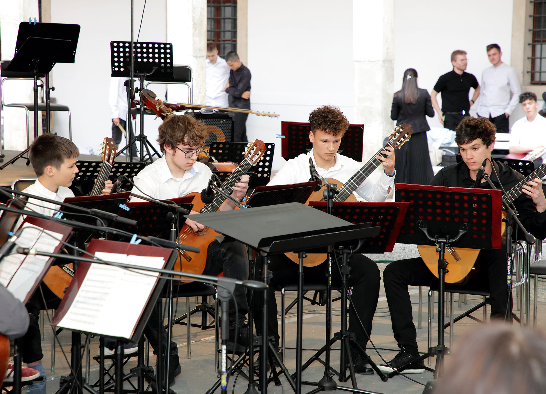 Koncert orkestrov in Solzic