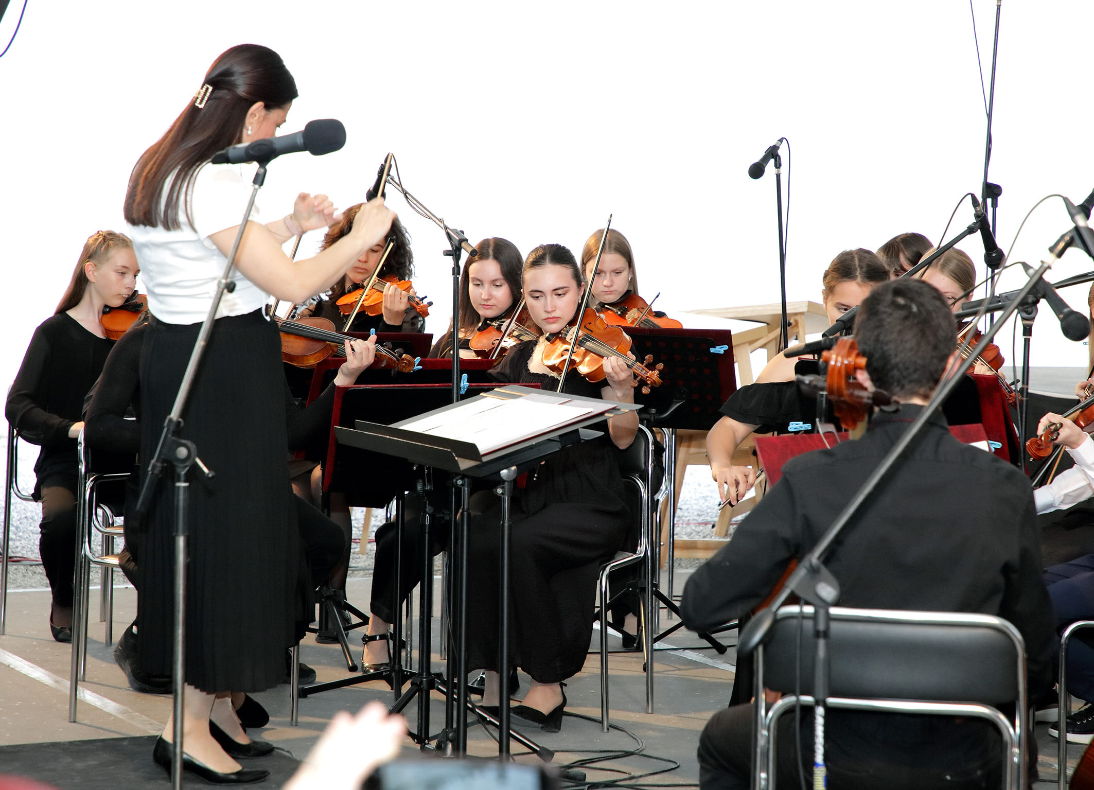 Koncert orkestrov in Solzic