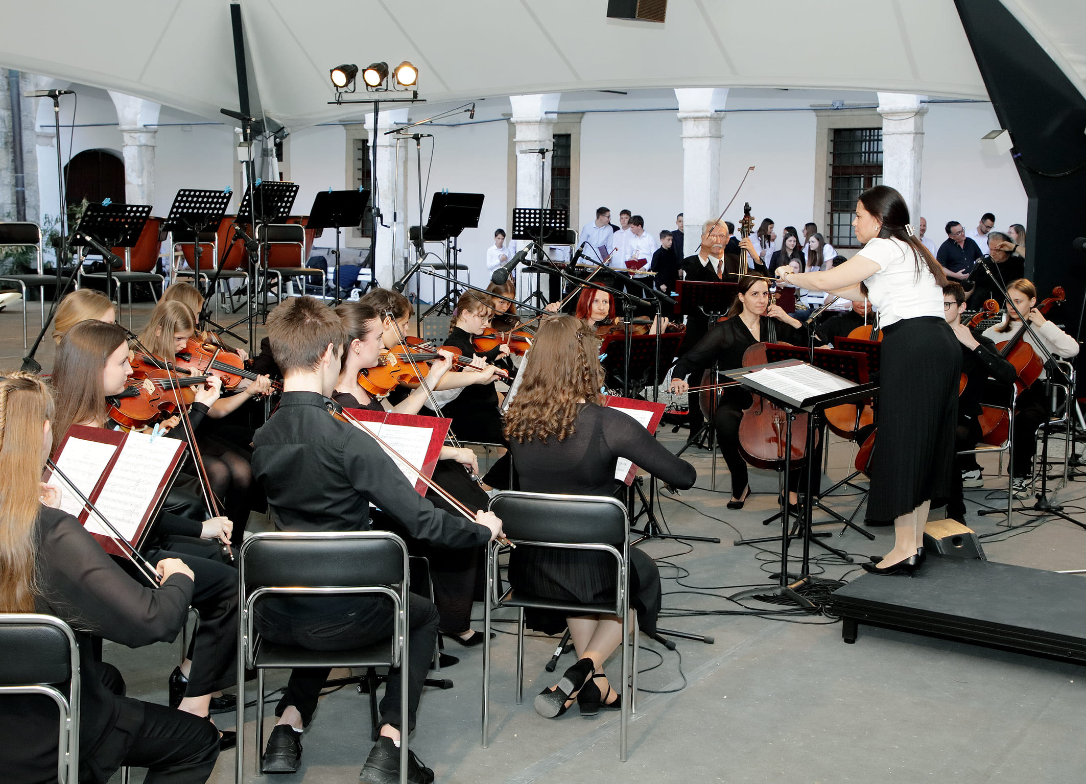 Koncert orkestrov in Solzic