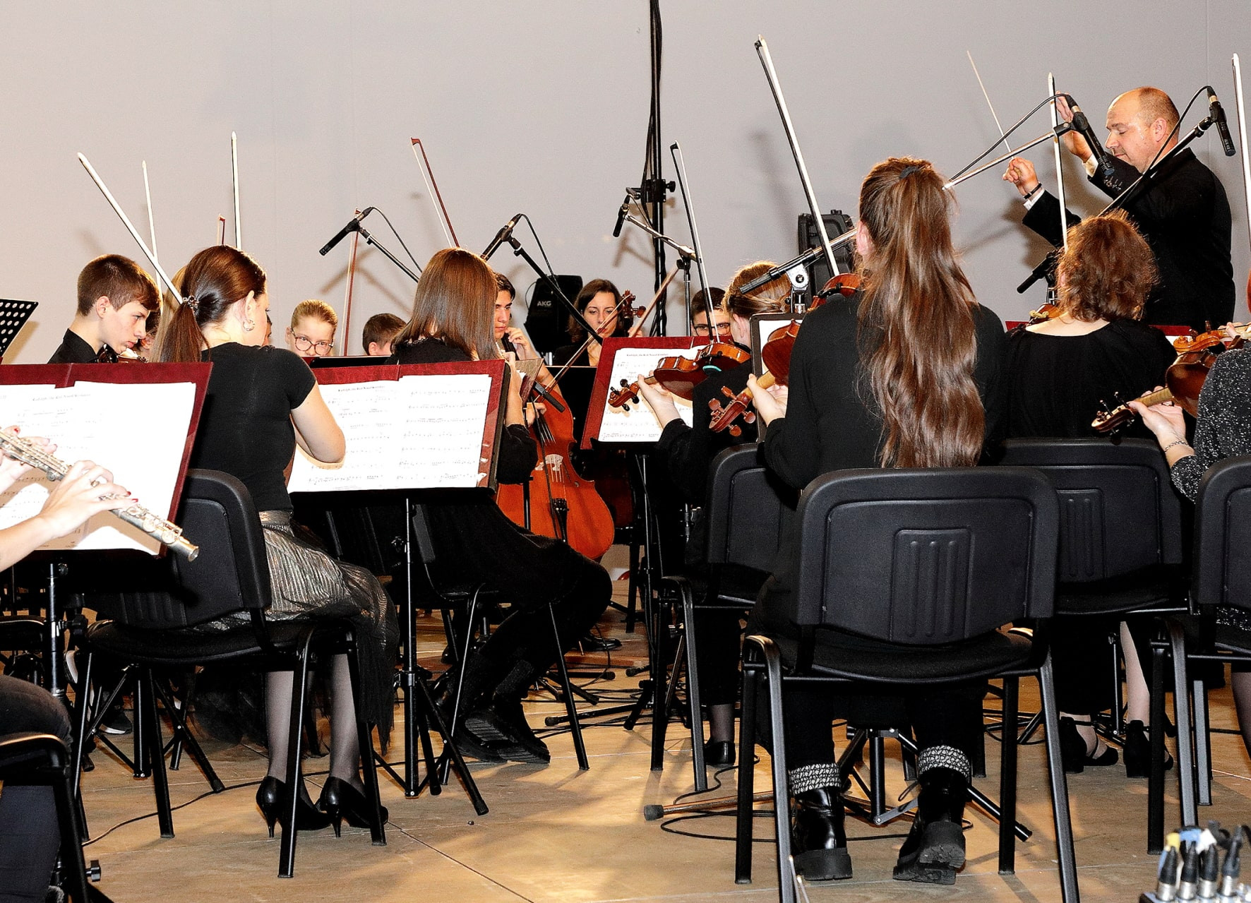 Koncert orkestrov in Solzic