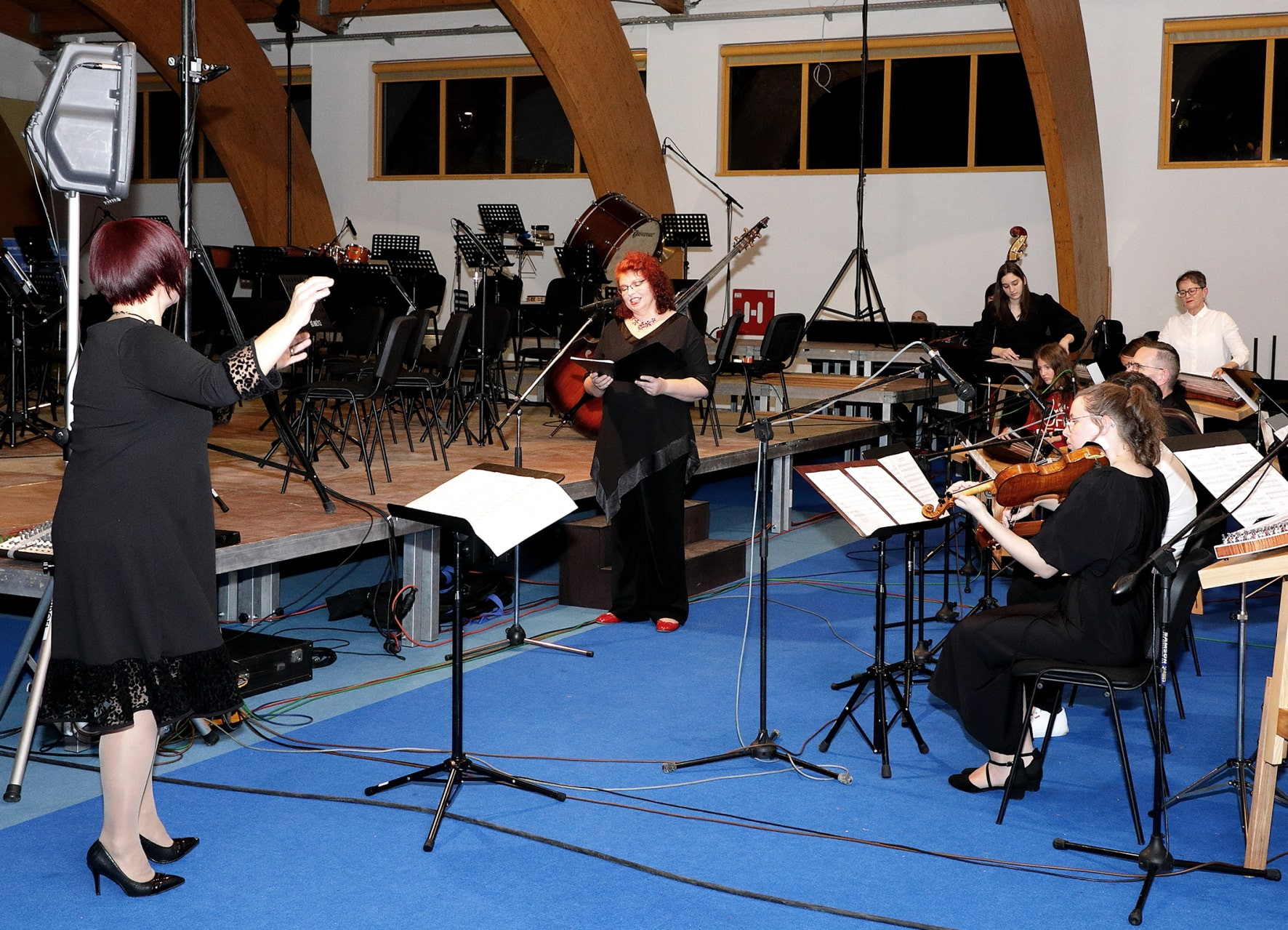 Koncert orkestrov in Solzic