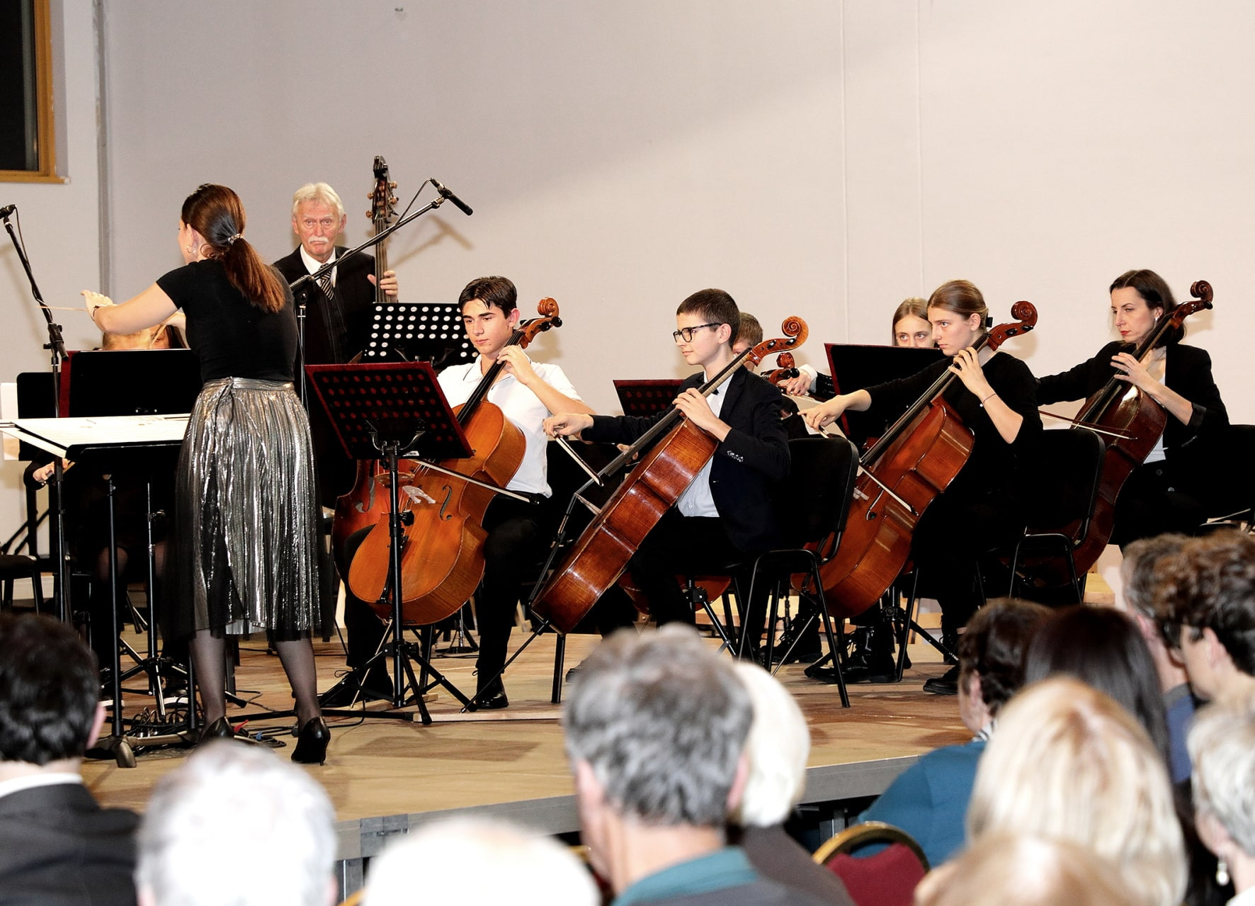 Koncert orkestrov in Solzic