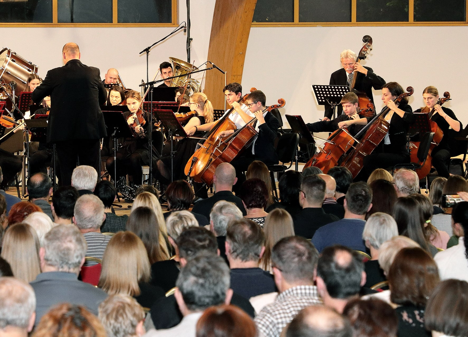 Koncert orkestrov in Solzic