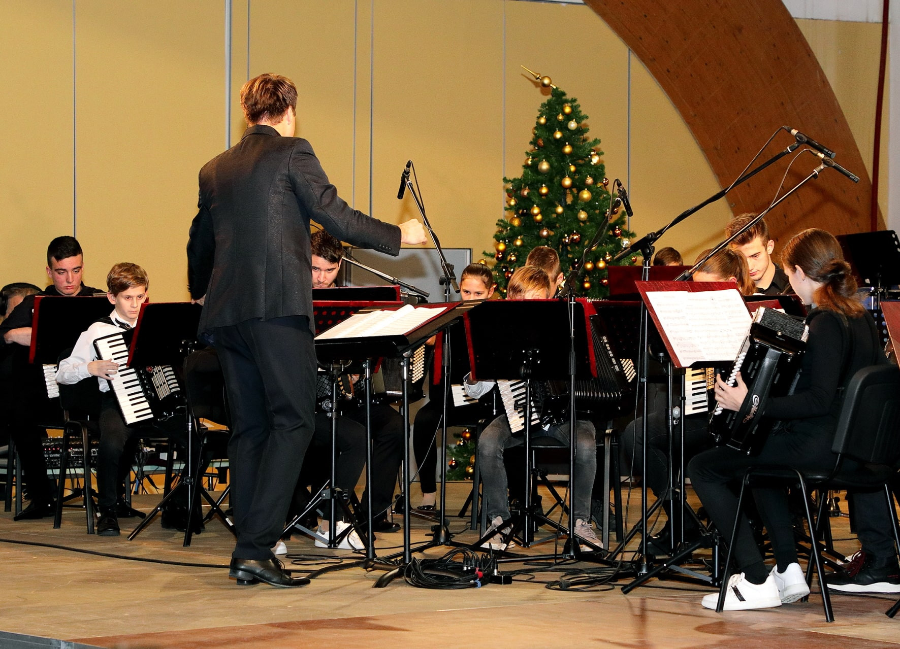 Koncert orkestrov in Solzic