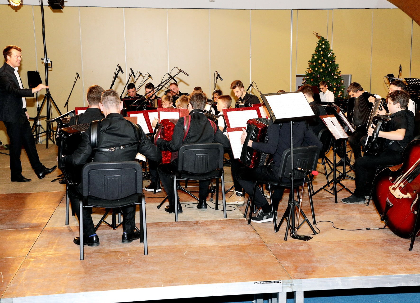 Koncert orkestrov in Solzic