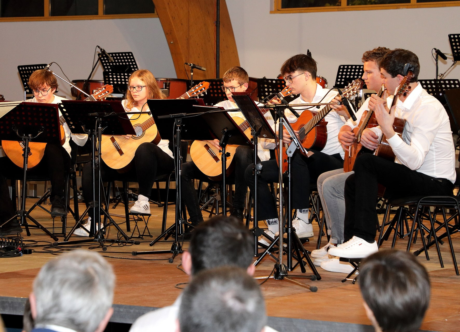 Koncert orkestrov in Solzic