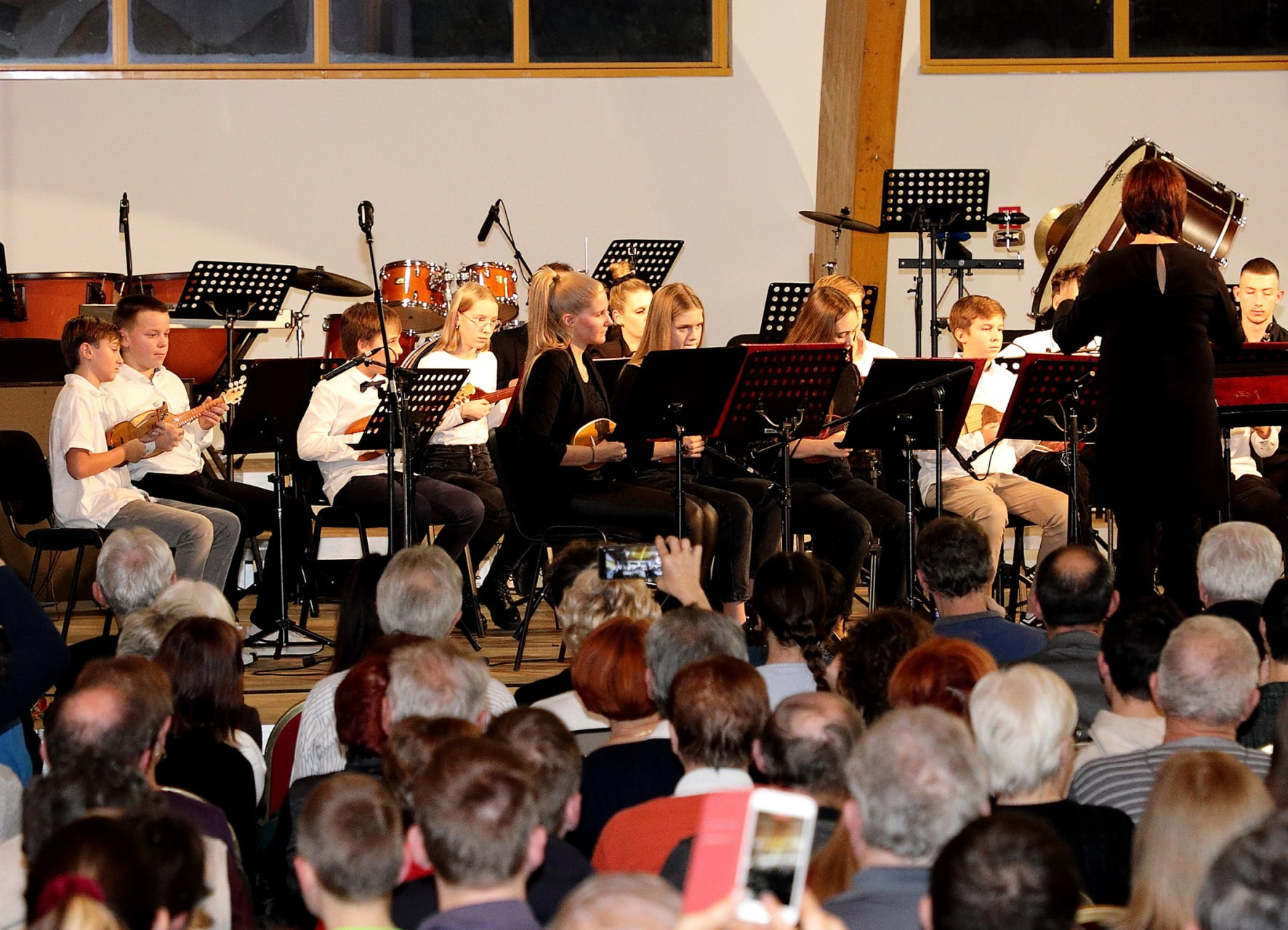 Koncert orkestrov in Solzic