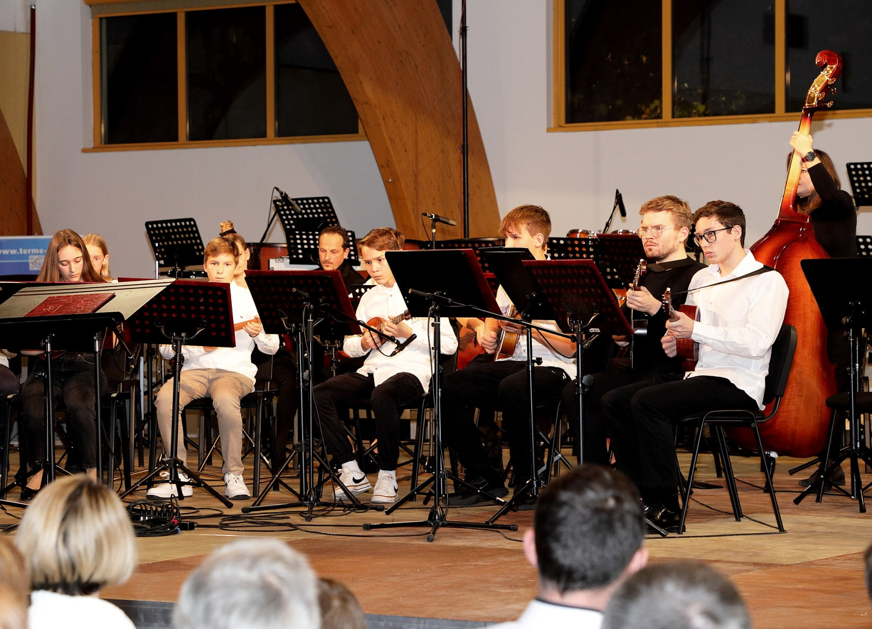 Koncert orkestrov in Solzic