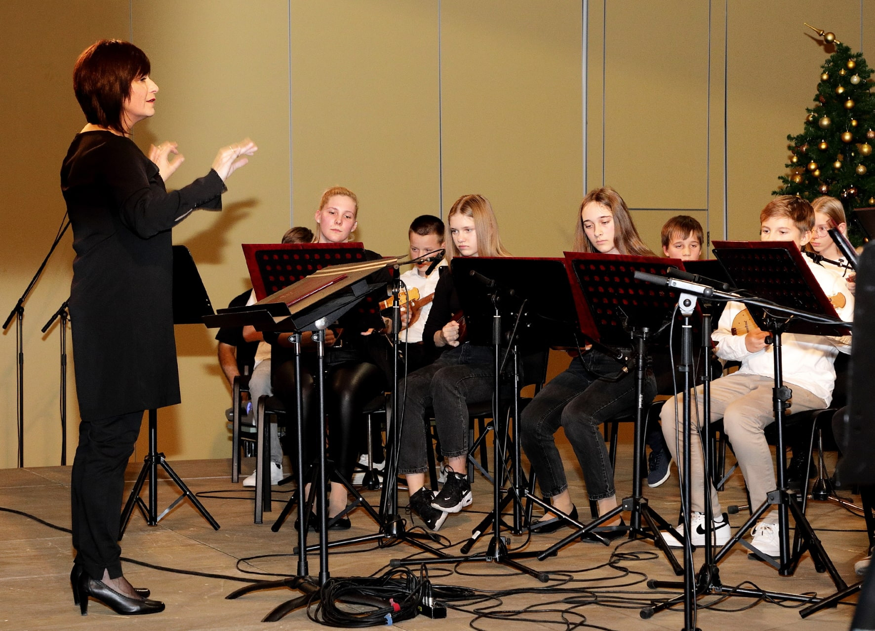 Koncert orkestrov in Solzic