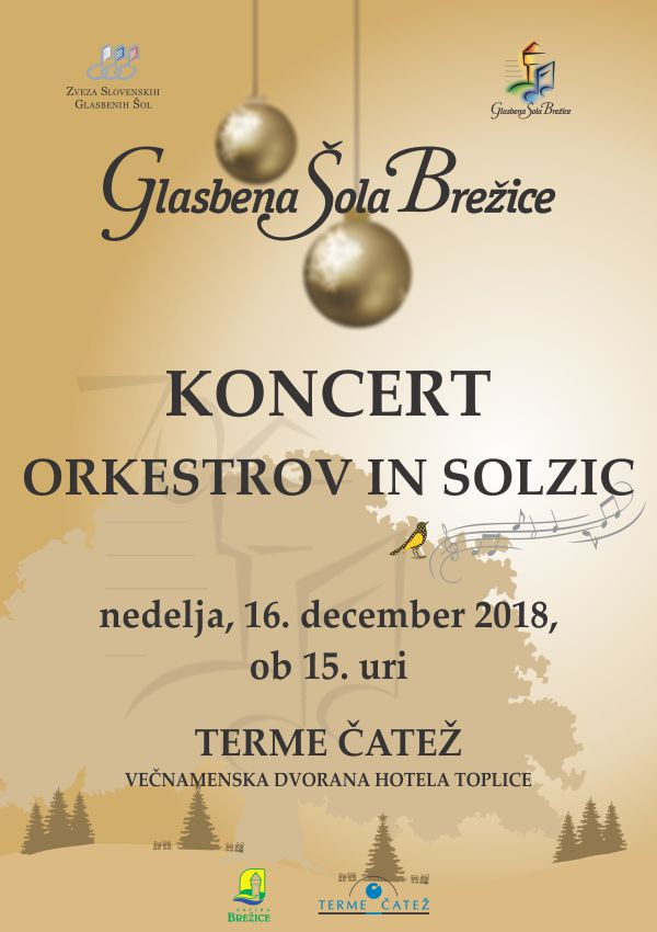 Koncert orkestrov in Solzic december 2018