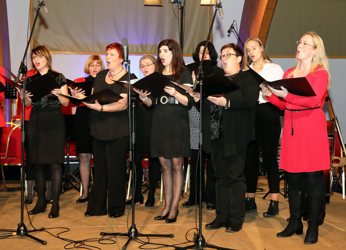 Koncert orkestrov in Solzic december 2018