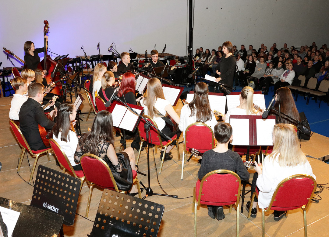 Koncert orkestrov in Solzic december 2018