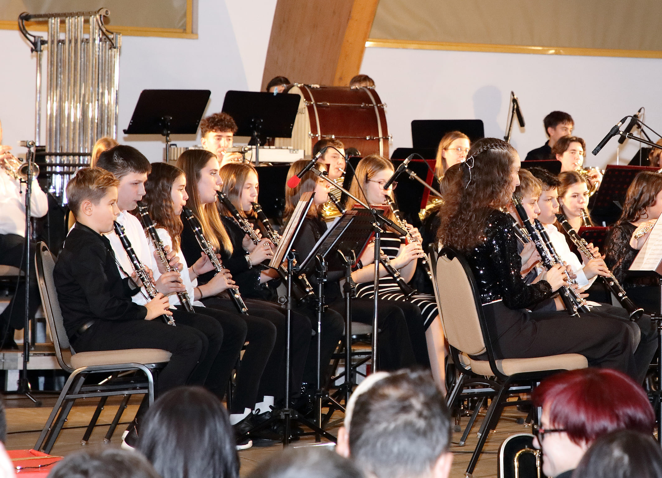 Koncert orkestrov in zborov