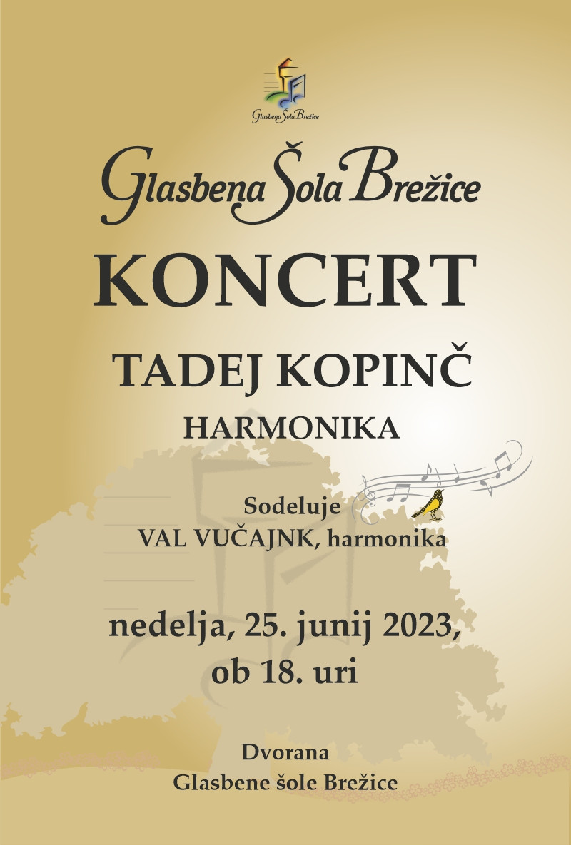 Koncert Tadej Kopinč: harmonika