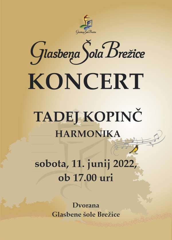 Koncert Tadeja Kopinča - harmonika