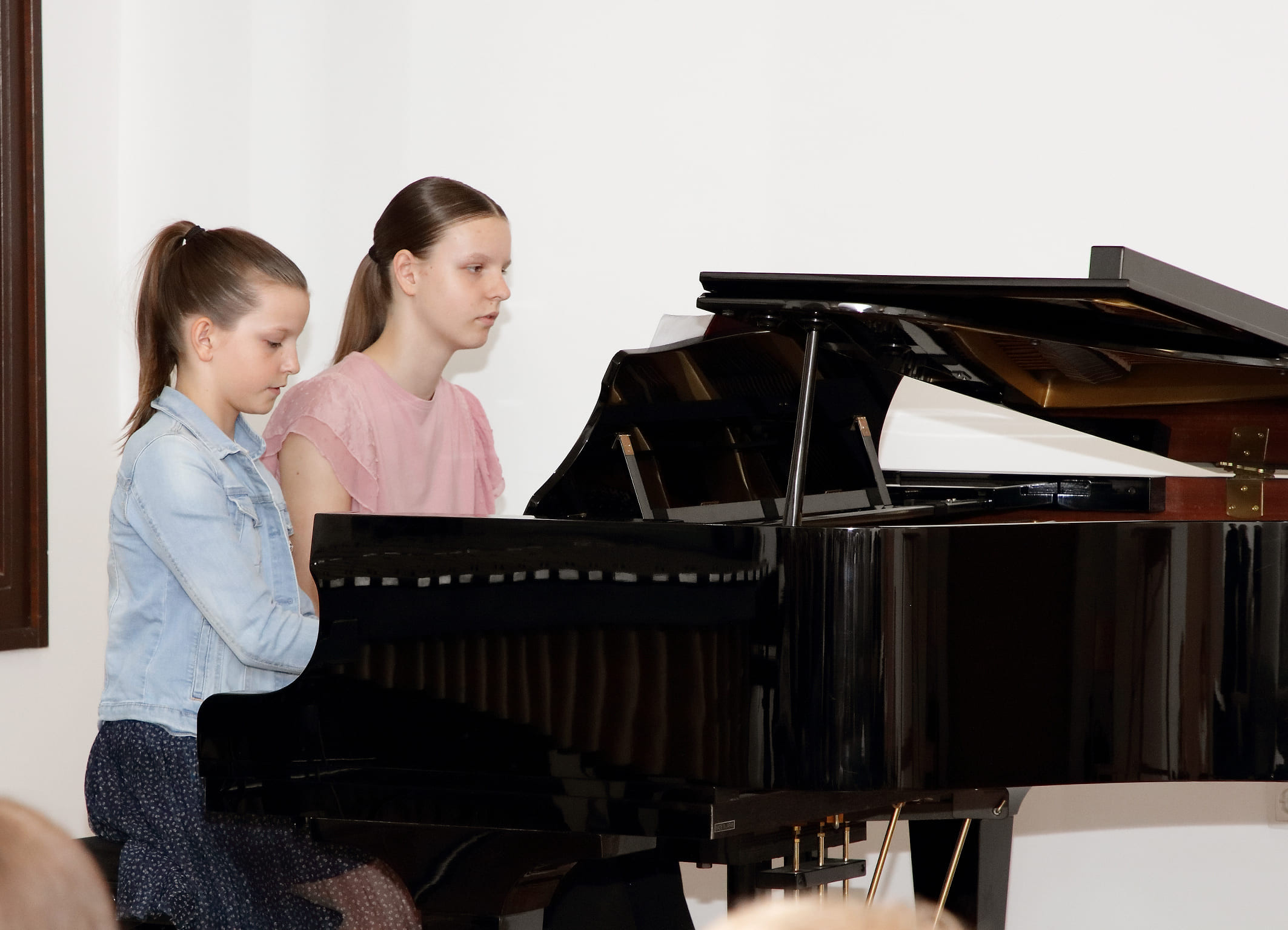 Koncert Zaigrajmo skupaj