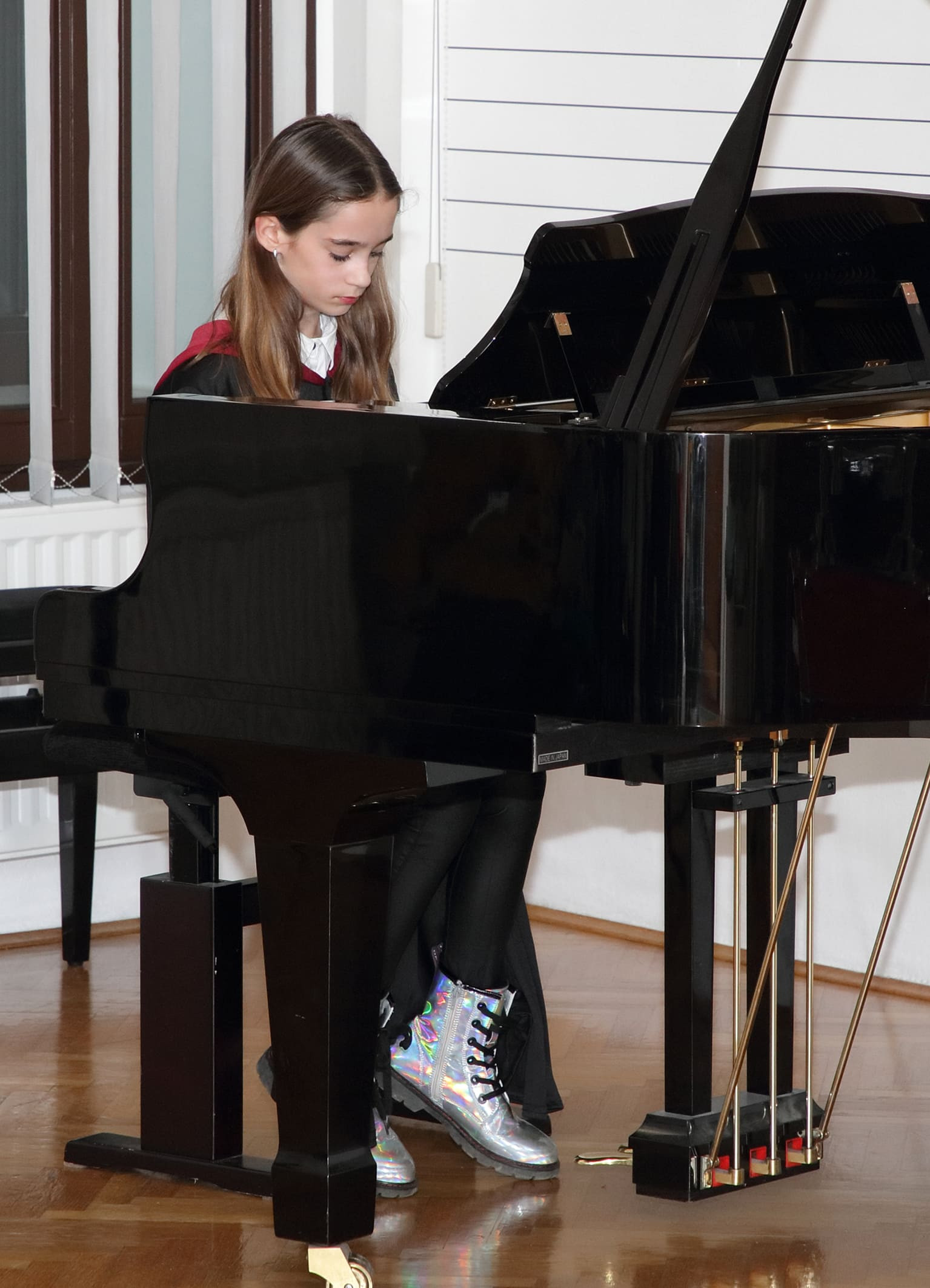 Konecrt Naša prihodnost