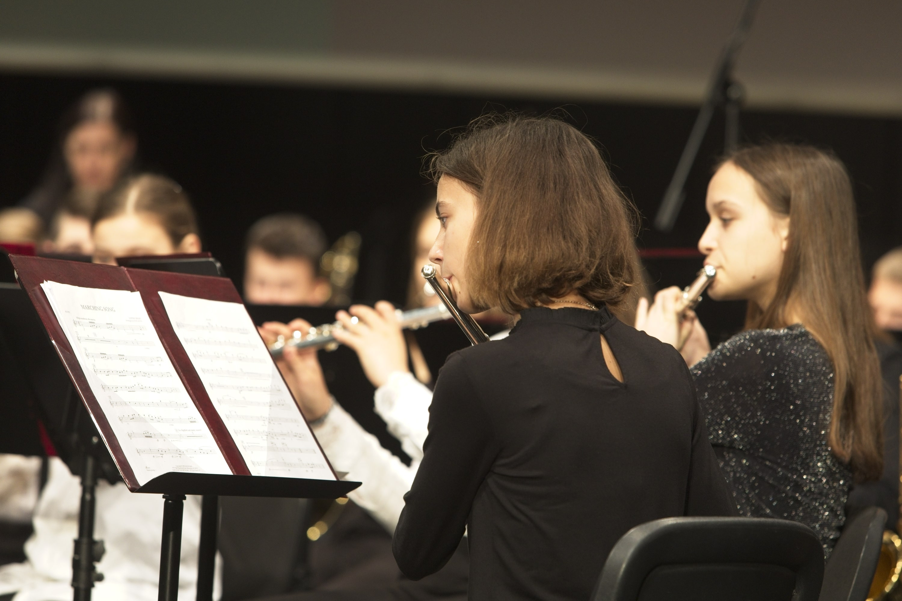 Revija pihalnih orkestrov ZSGŠ