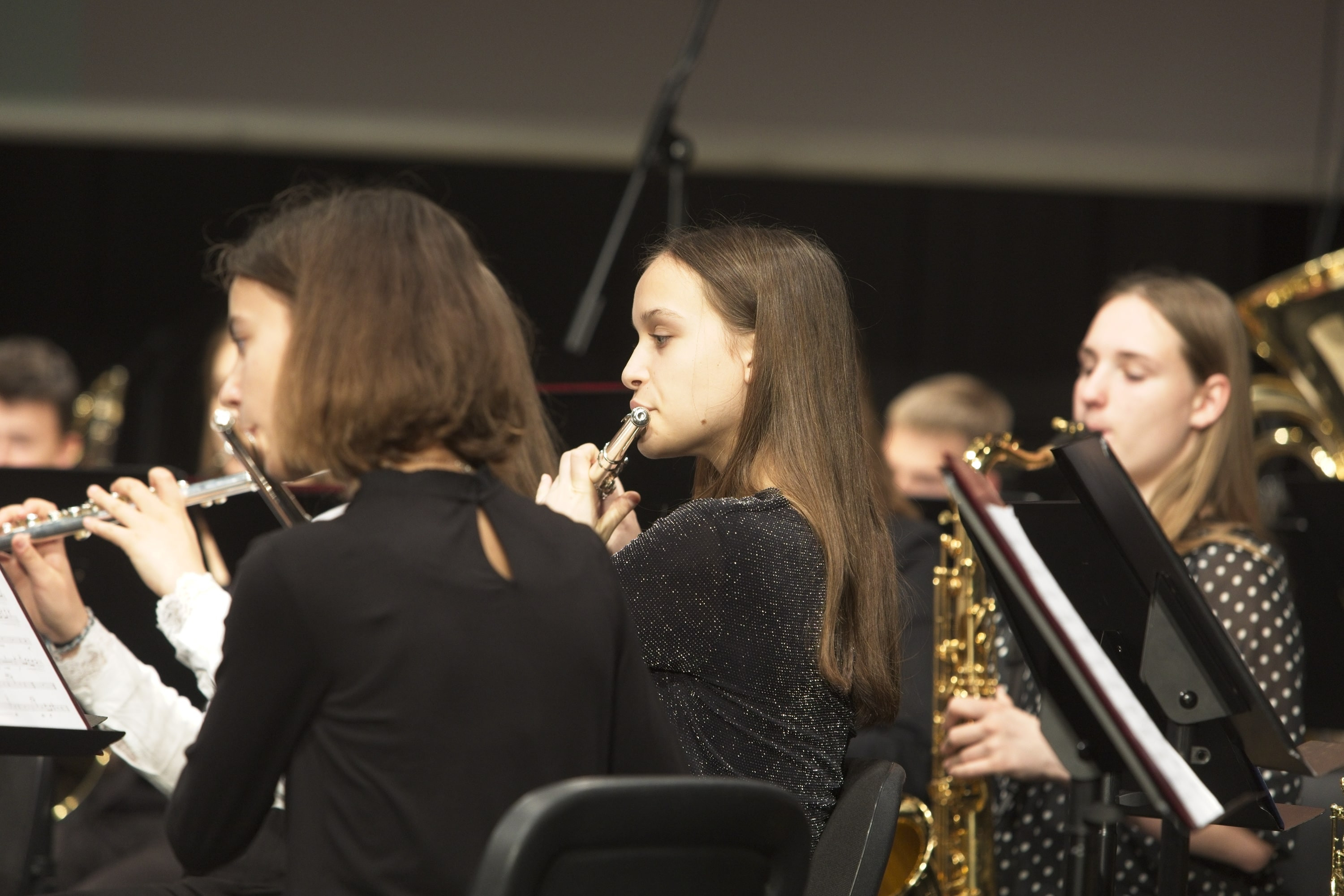 Revija pihalnih orkestrov ZSGŠ