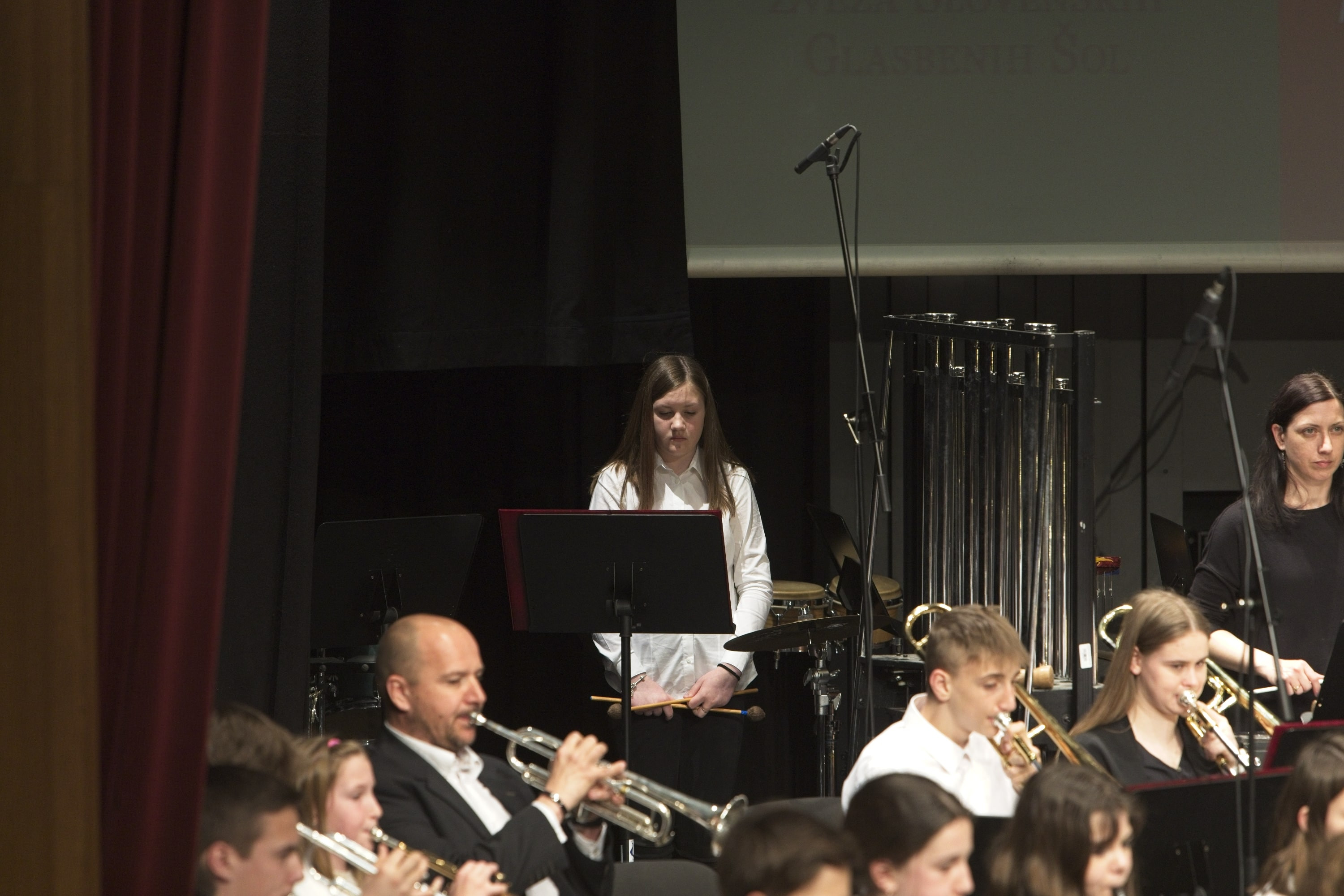 Revija pihalnih orkestrov ZSGŠ