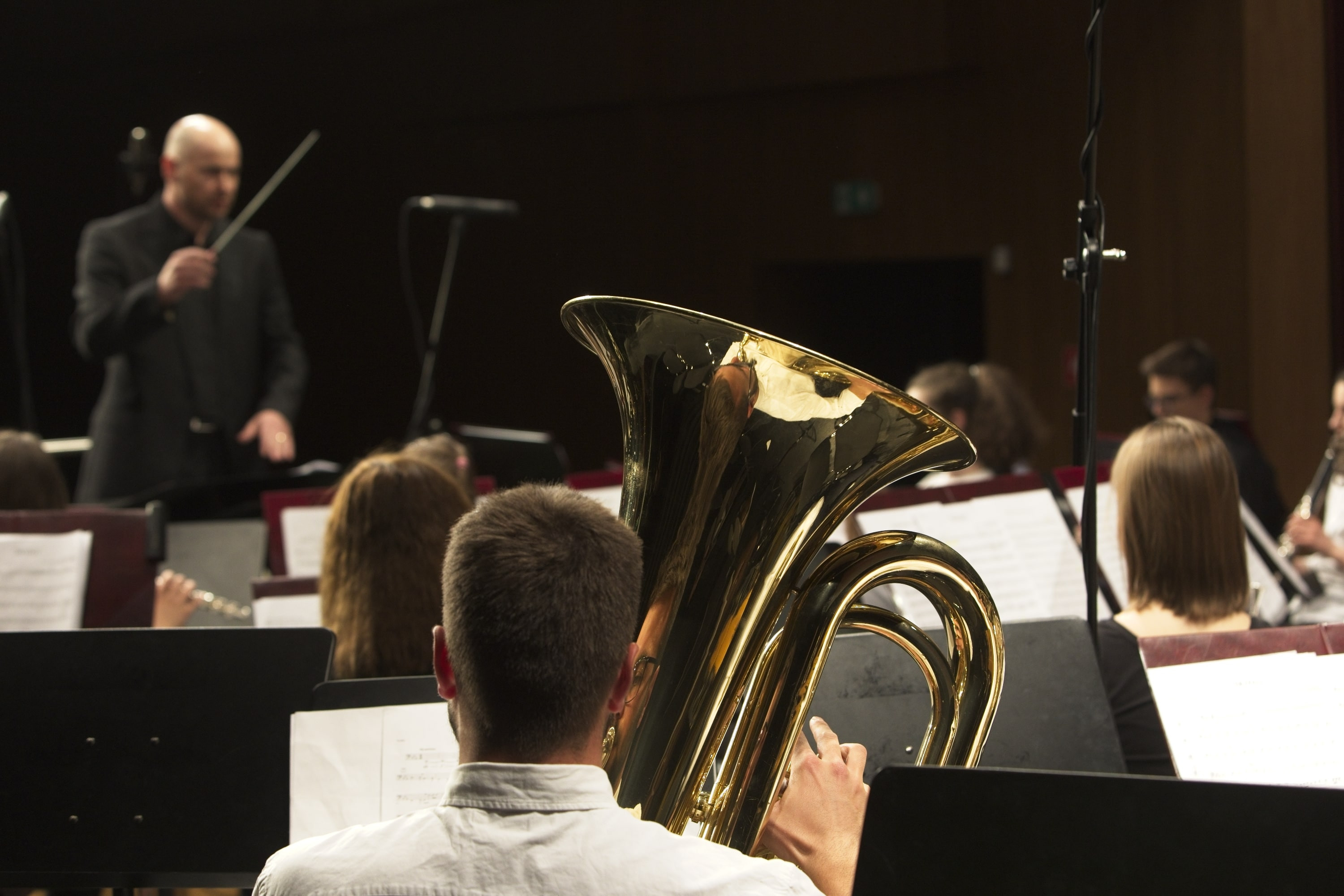 Revija pihalnih orkestrov ZSGŠ