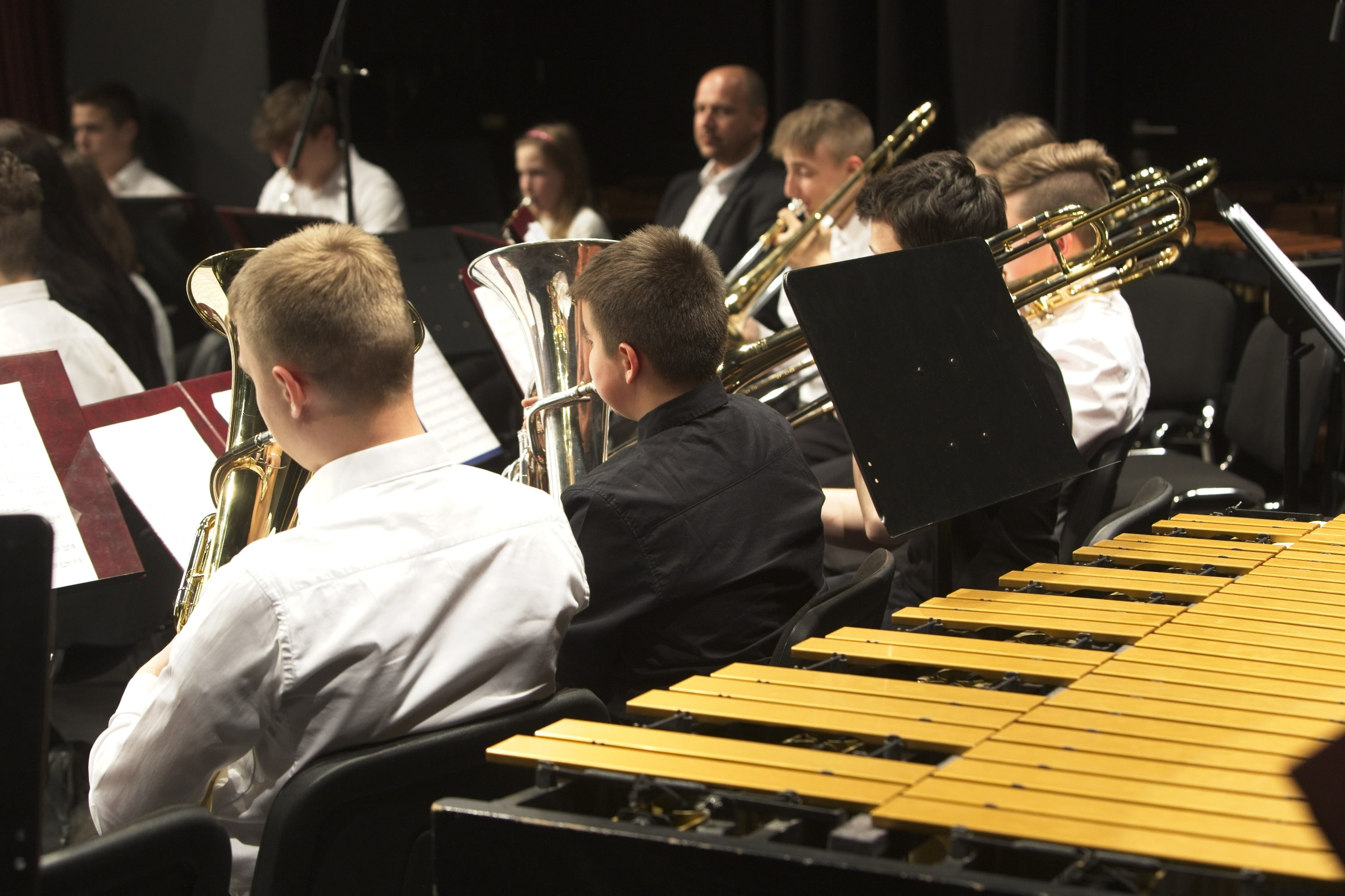 Revija pihalnih orkestrov ZSGŠ