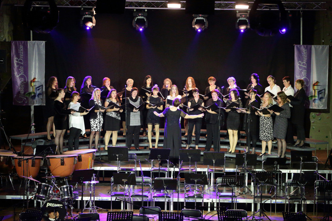 Vokalna skupina Solzice