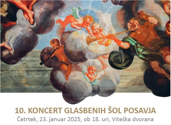 10. KONCERT GLASBENIH ŠOL POSAVJA