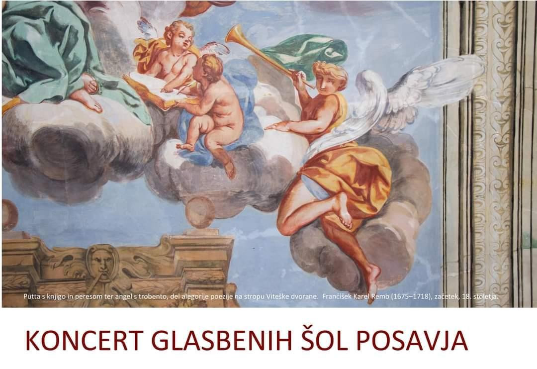 7. koncert glasbenih šol Posavja