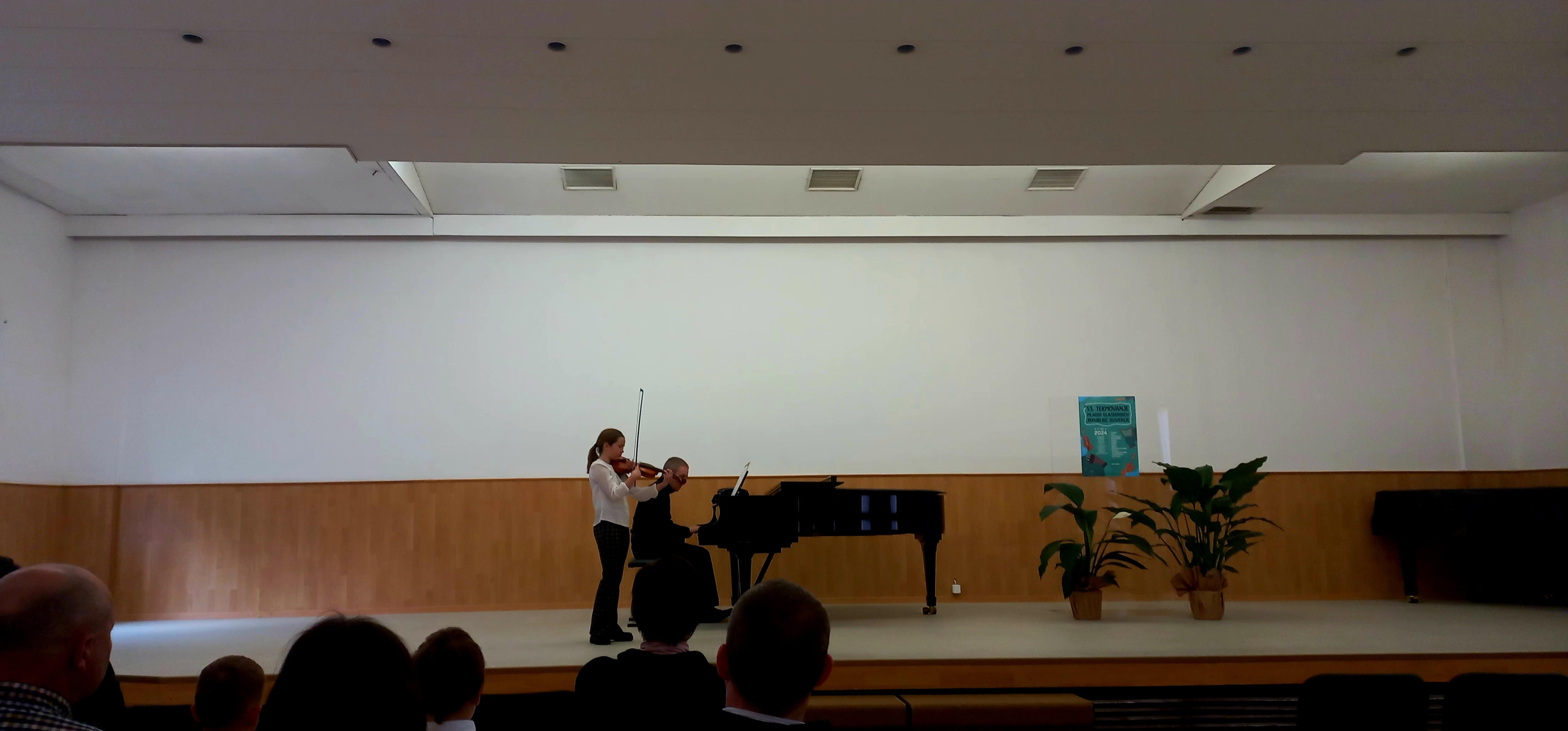 Dosežki učencev Glasbene šole Krško na državnem tekmovanju TEMSIG