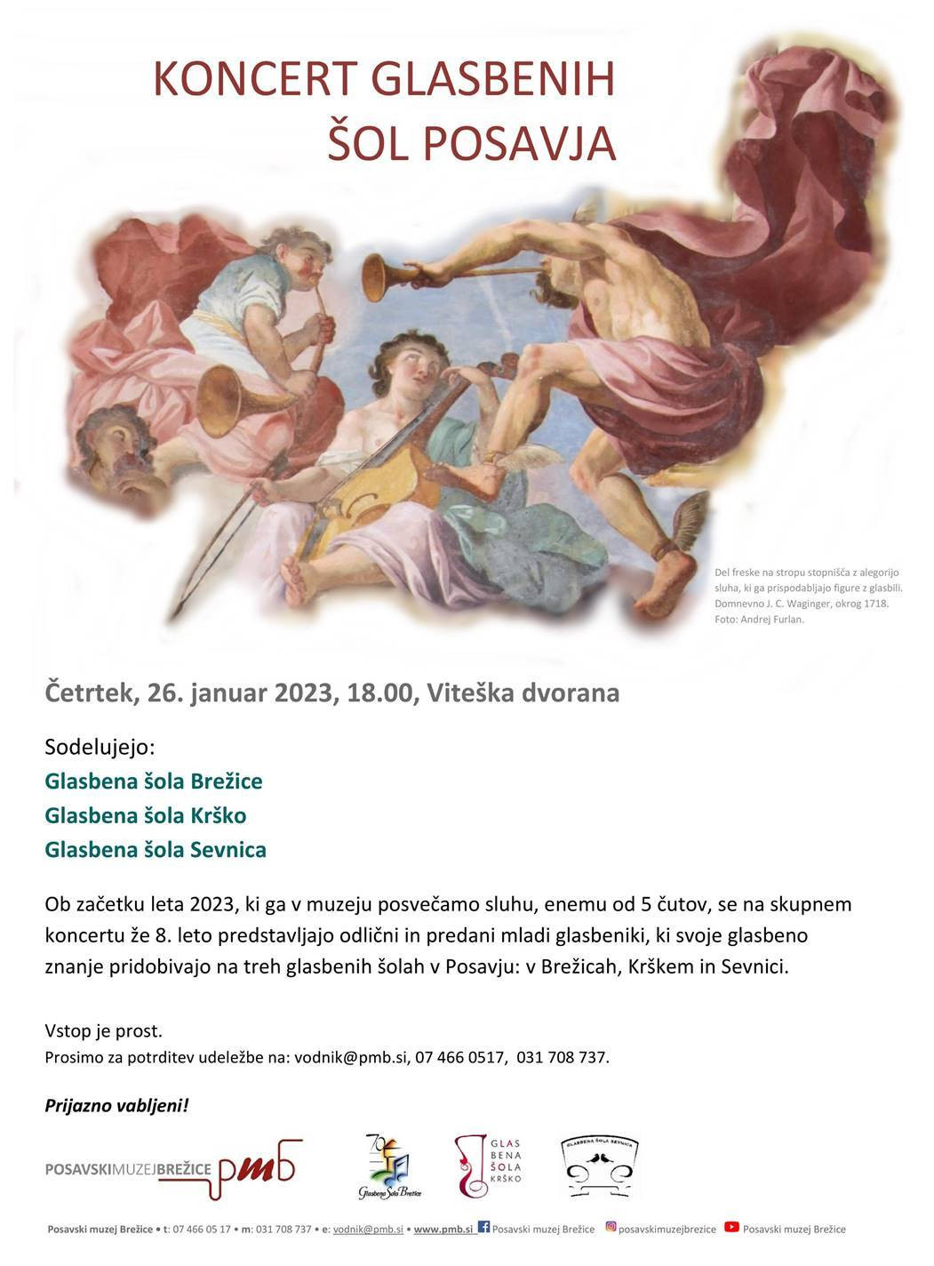 Koncert glasbenih šol Posavja