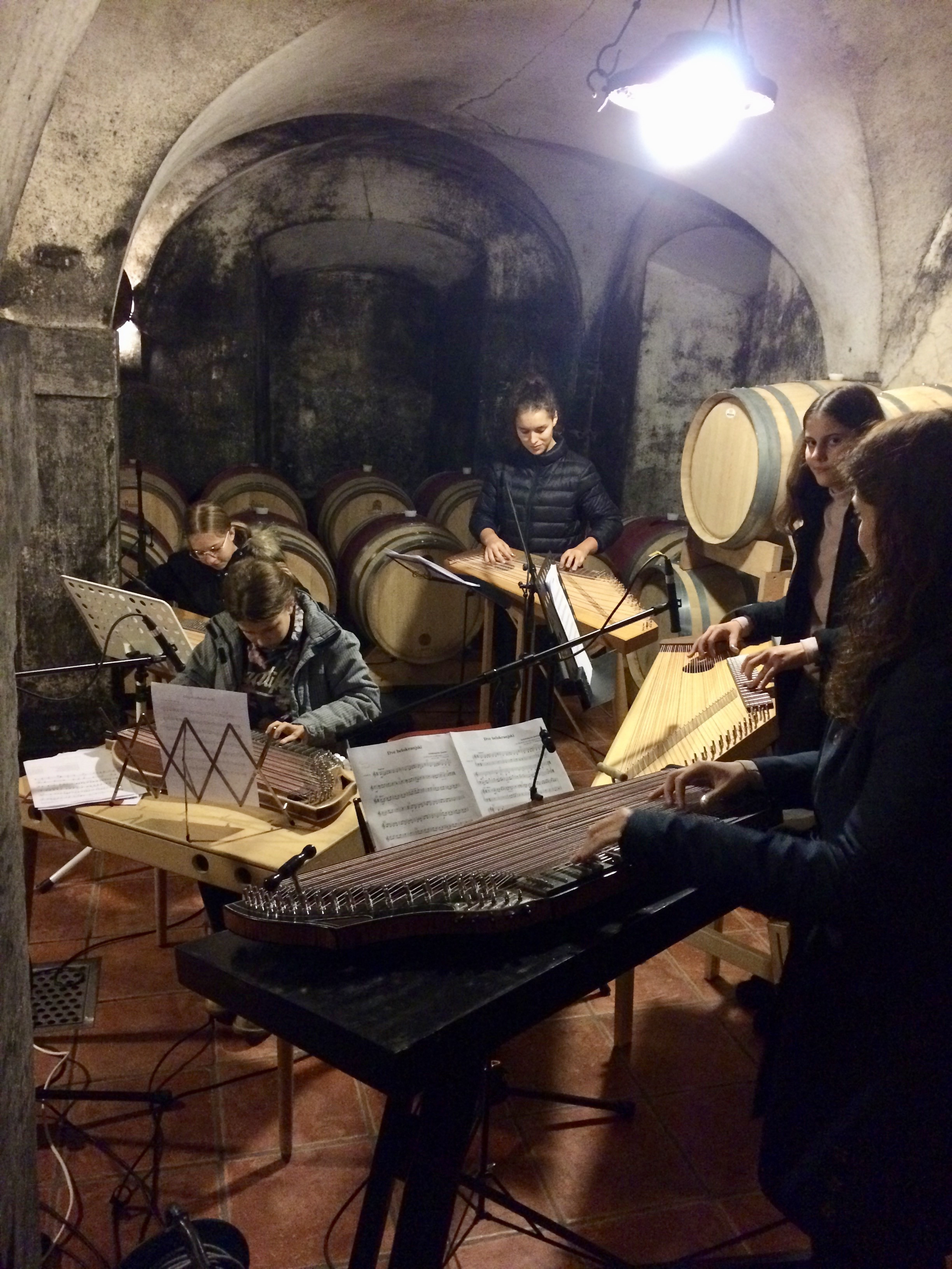 Nastop za Lions klub Krško