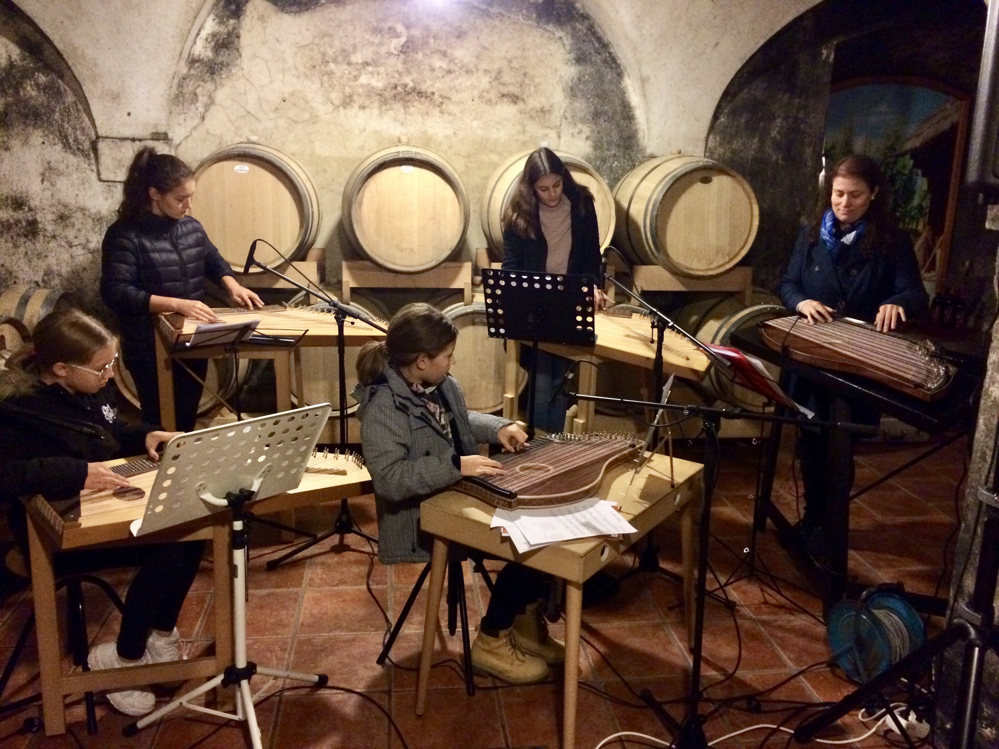 Nastop za Lions klub Krško