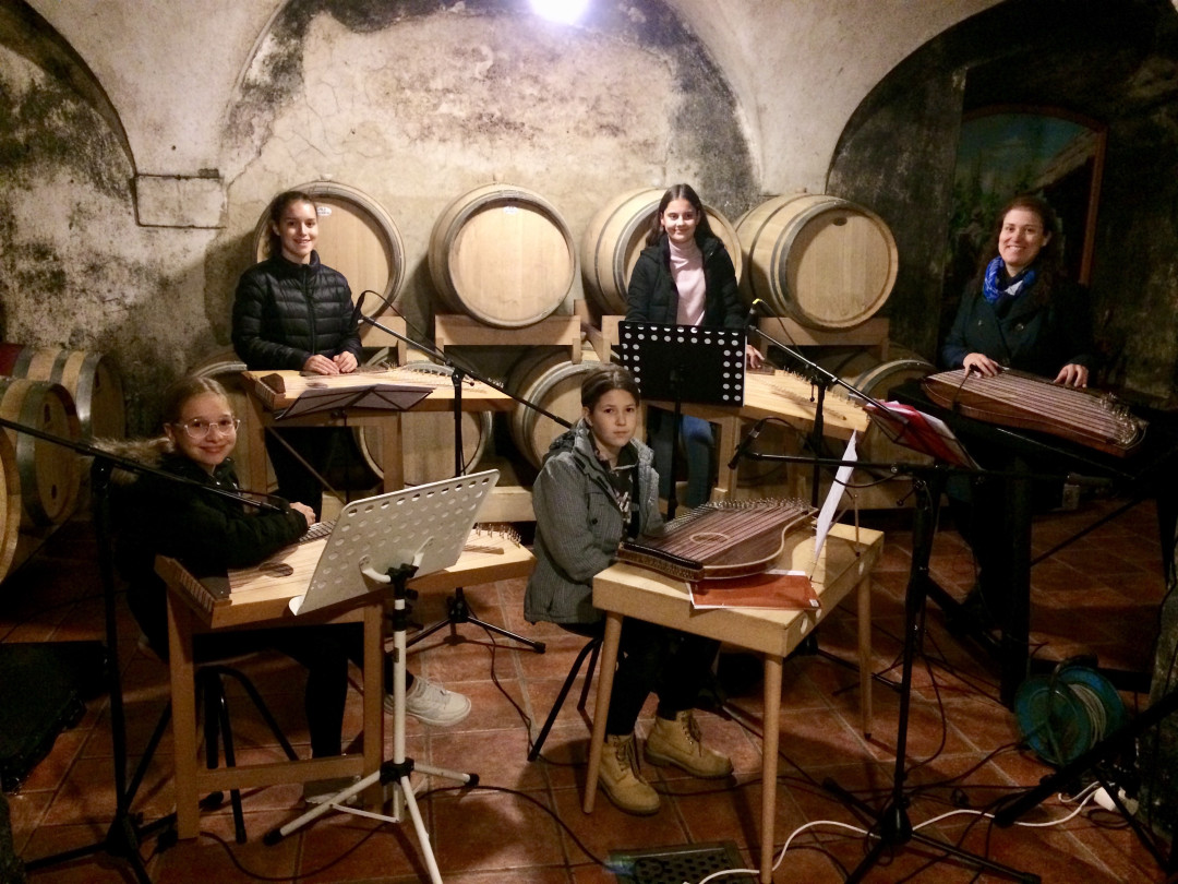 Nastop za Lions klub Krško