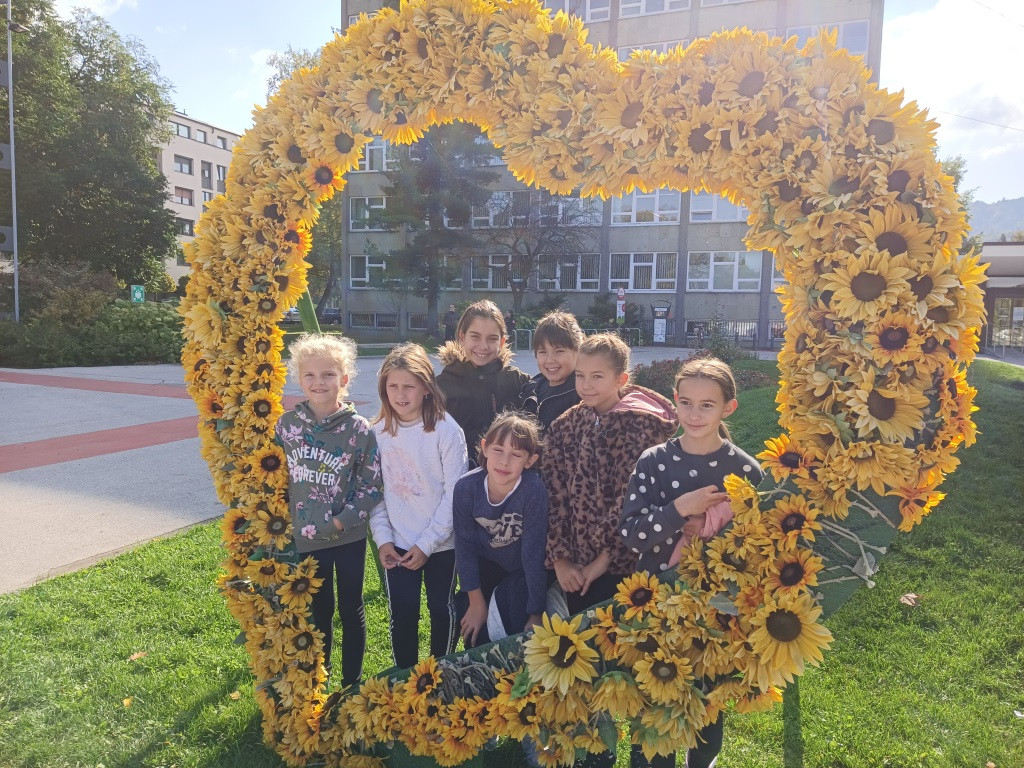 Pika Miga 2021, mini festival otroških plesnih skupin (DRŽAVNA PLESNA REVIJA)