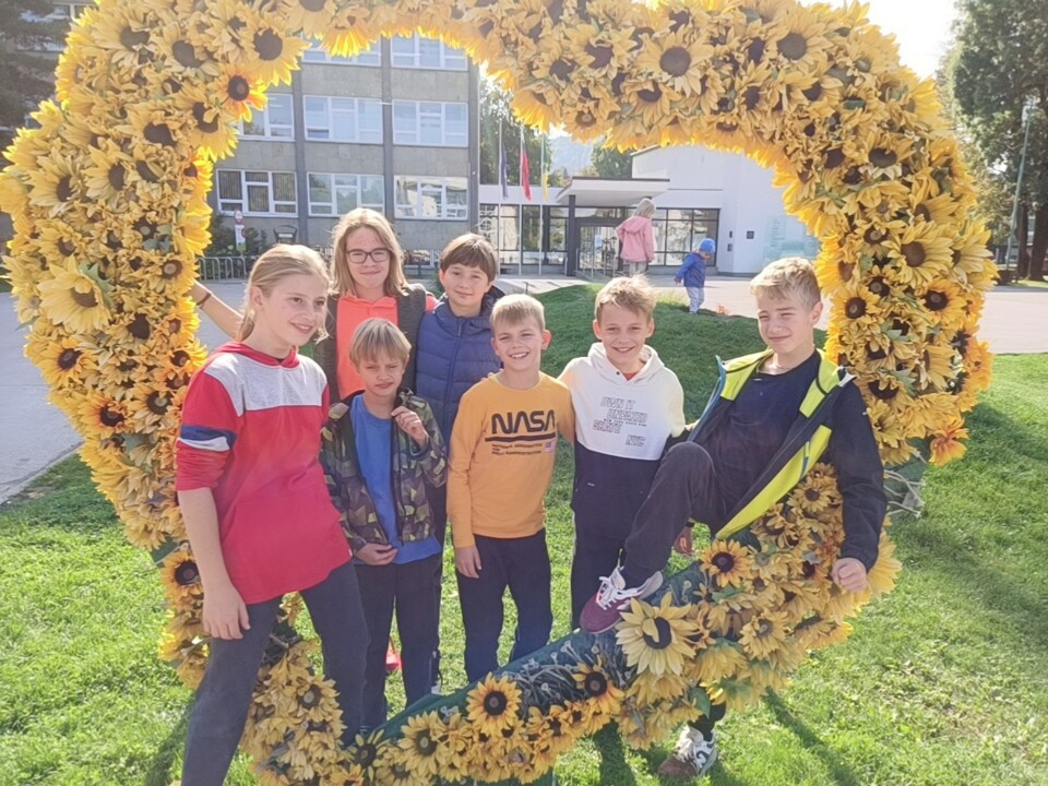 Pika Miga 2021, mini festival otroških plesnih skupin (DRŽAVNA PLESNA REVIJA)