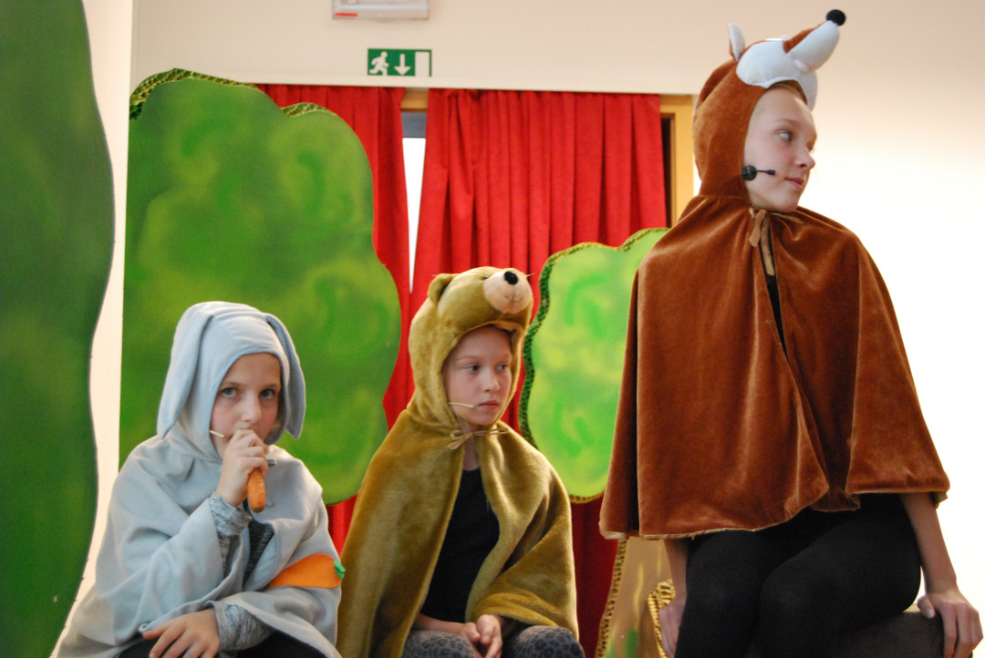 Predstavitev inštrumentov