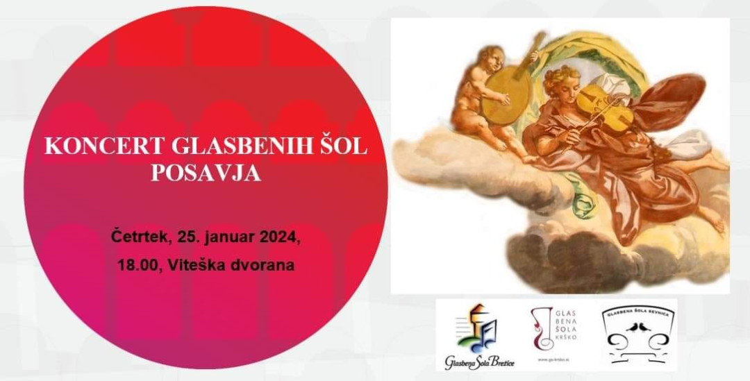 Revija glasbenih šol Posavja