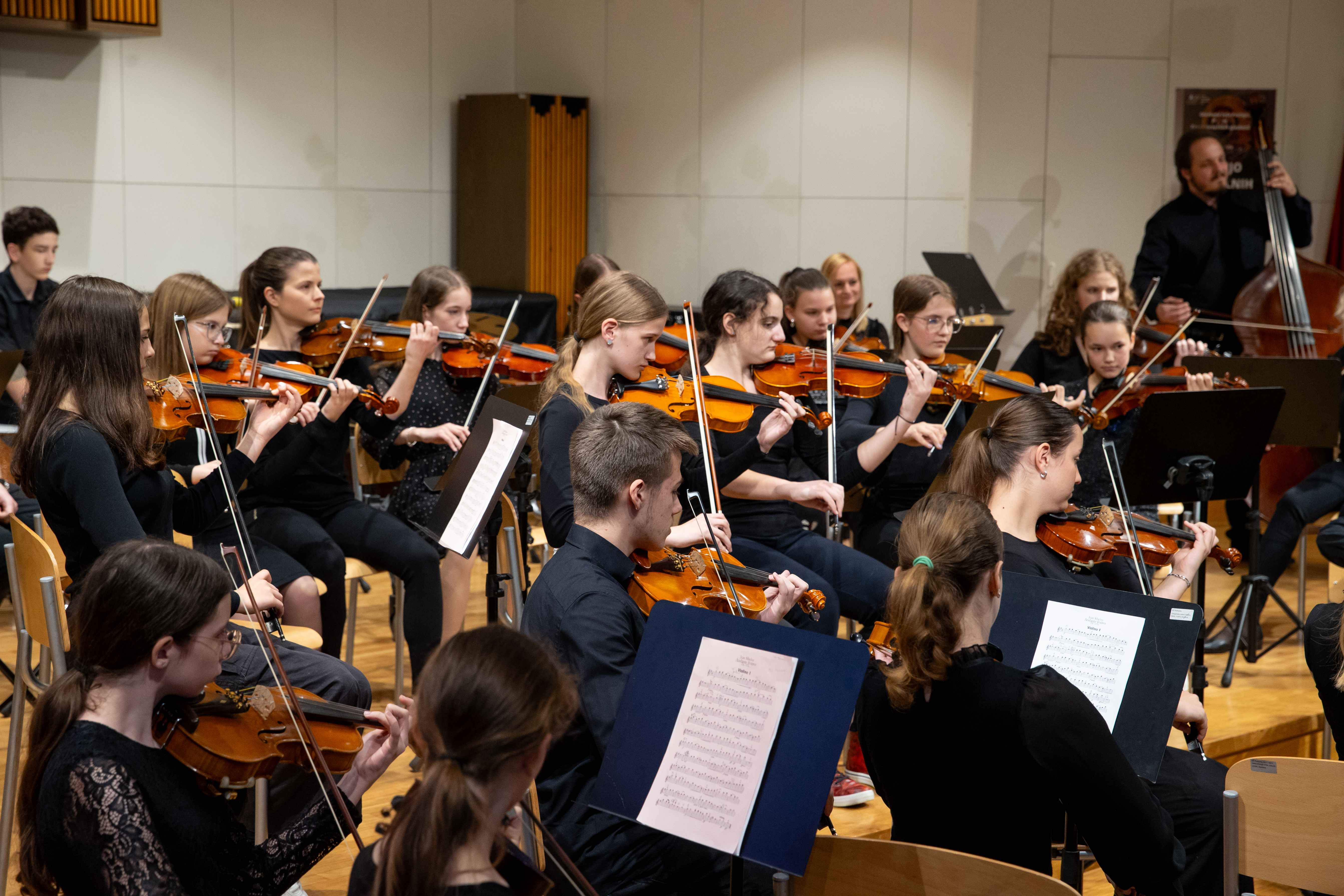 15. Revija godalnih orkestrov Zveze slovenskih glasbenih šol